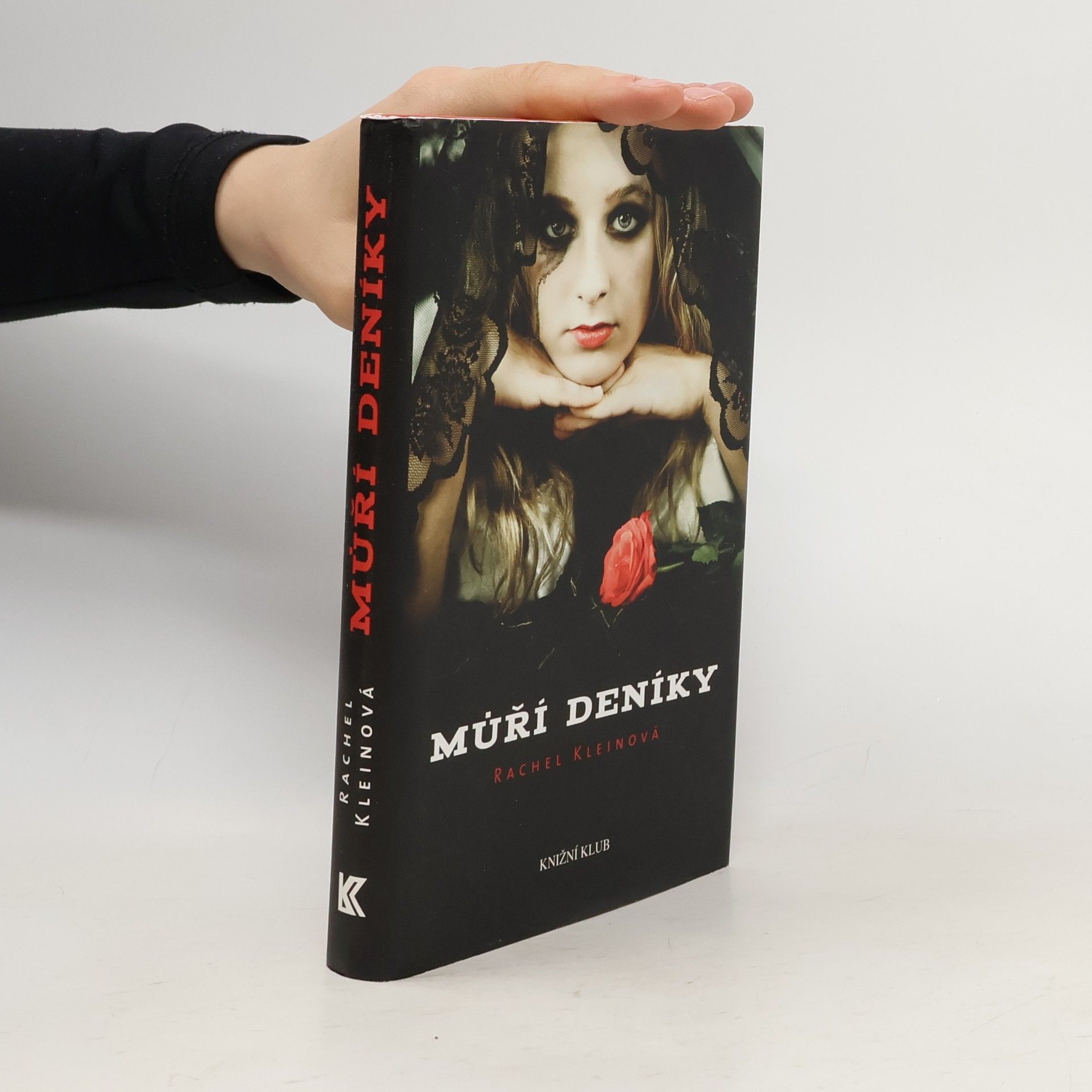 Rachel Klein Můří deníky