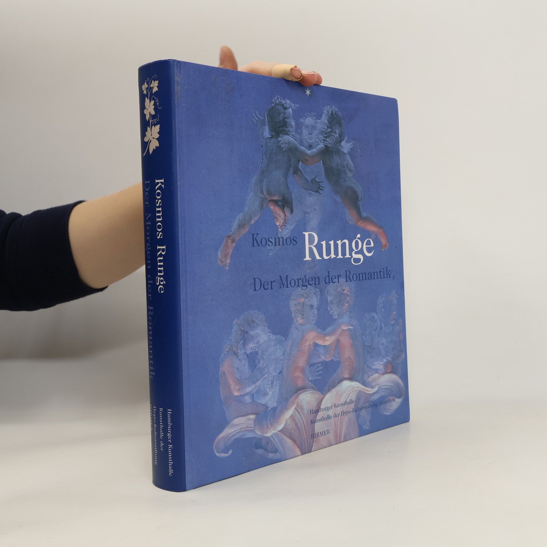 Kolektiv autorů Kosmos Runge : Der Morgen der Romantik