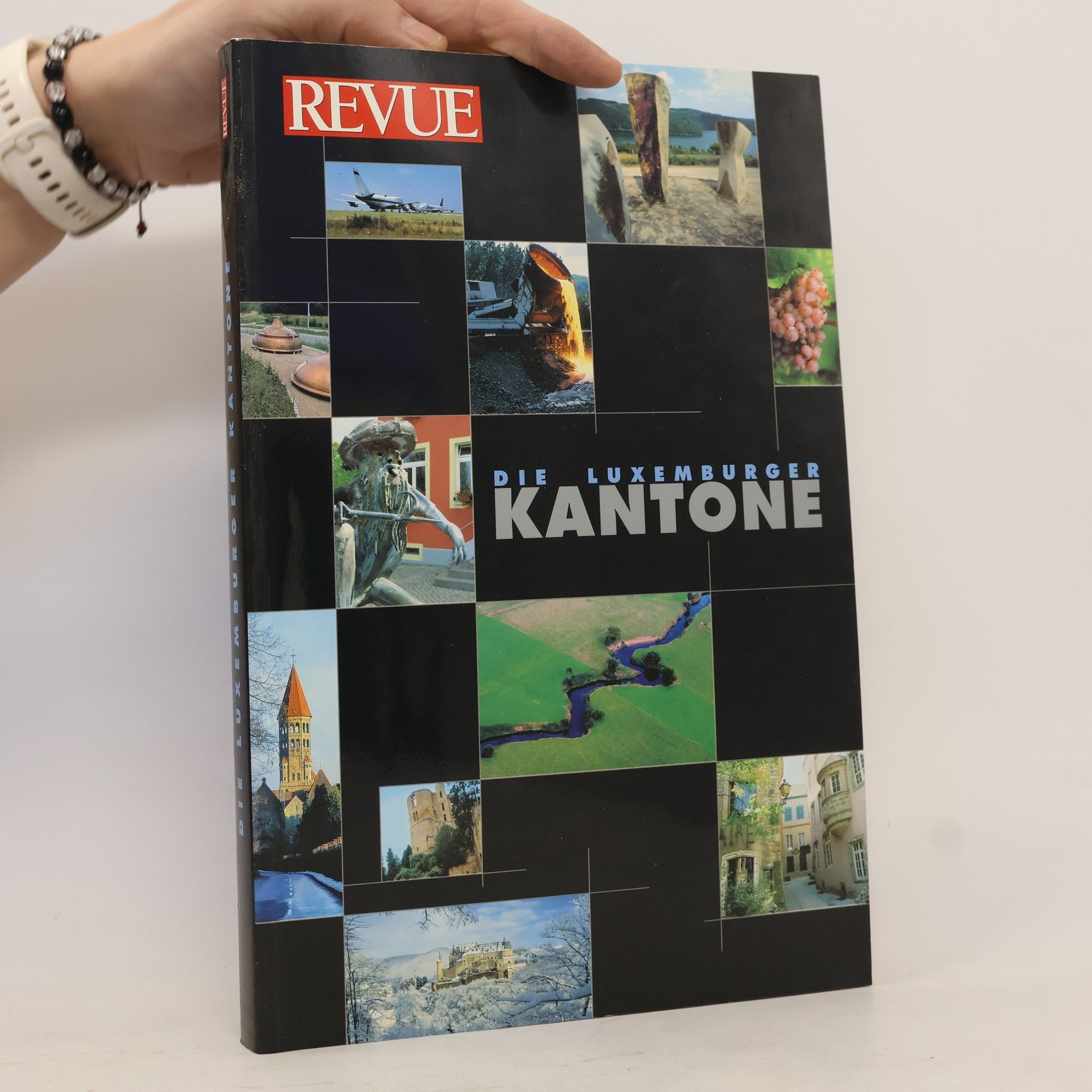 Kolektiv autorů Die Luxemburger Kantone