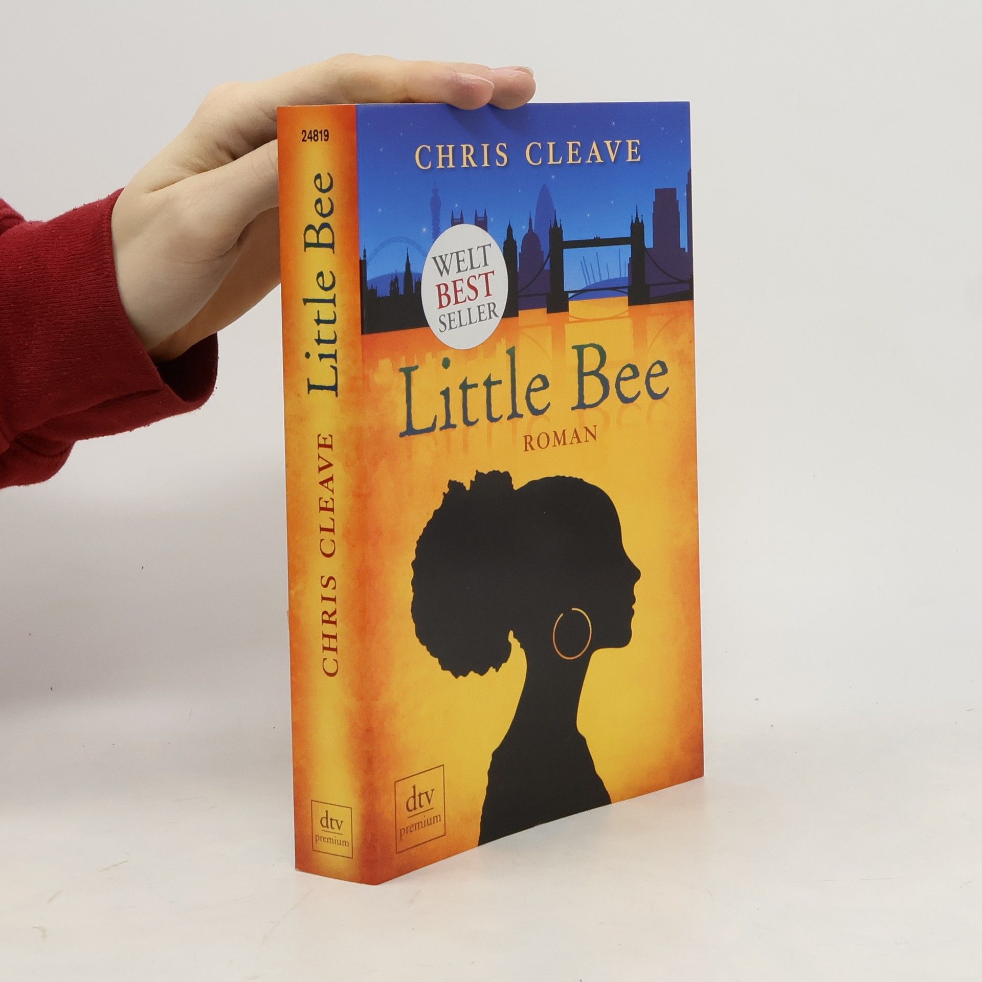 Chris Cleave Little Bee