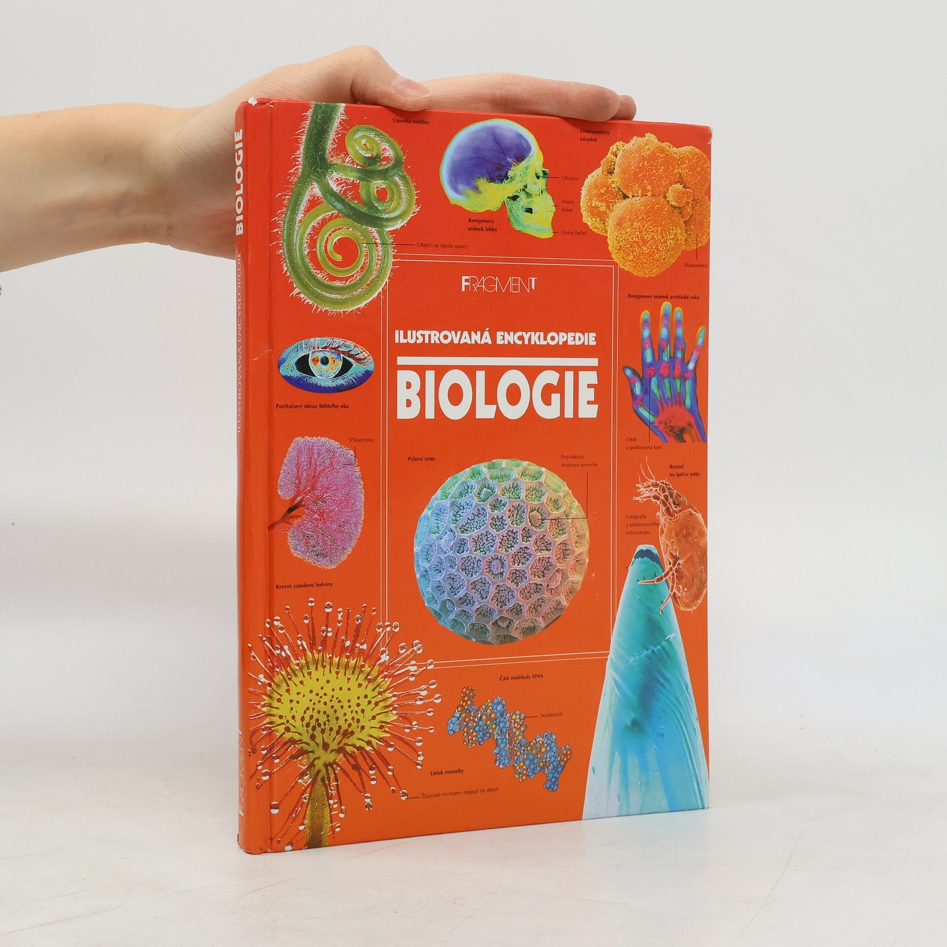 Corinne Stockley Biologie