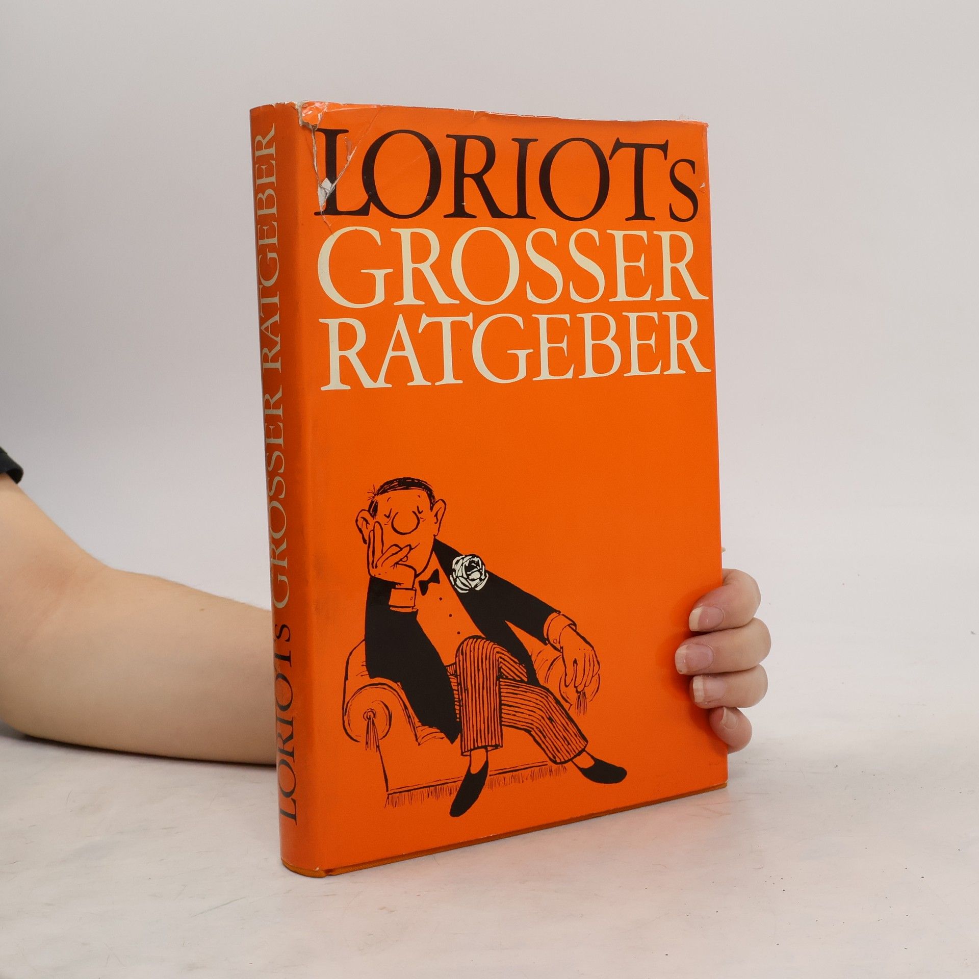 Loriot Loriots Grosser Ratgeber