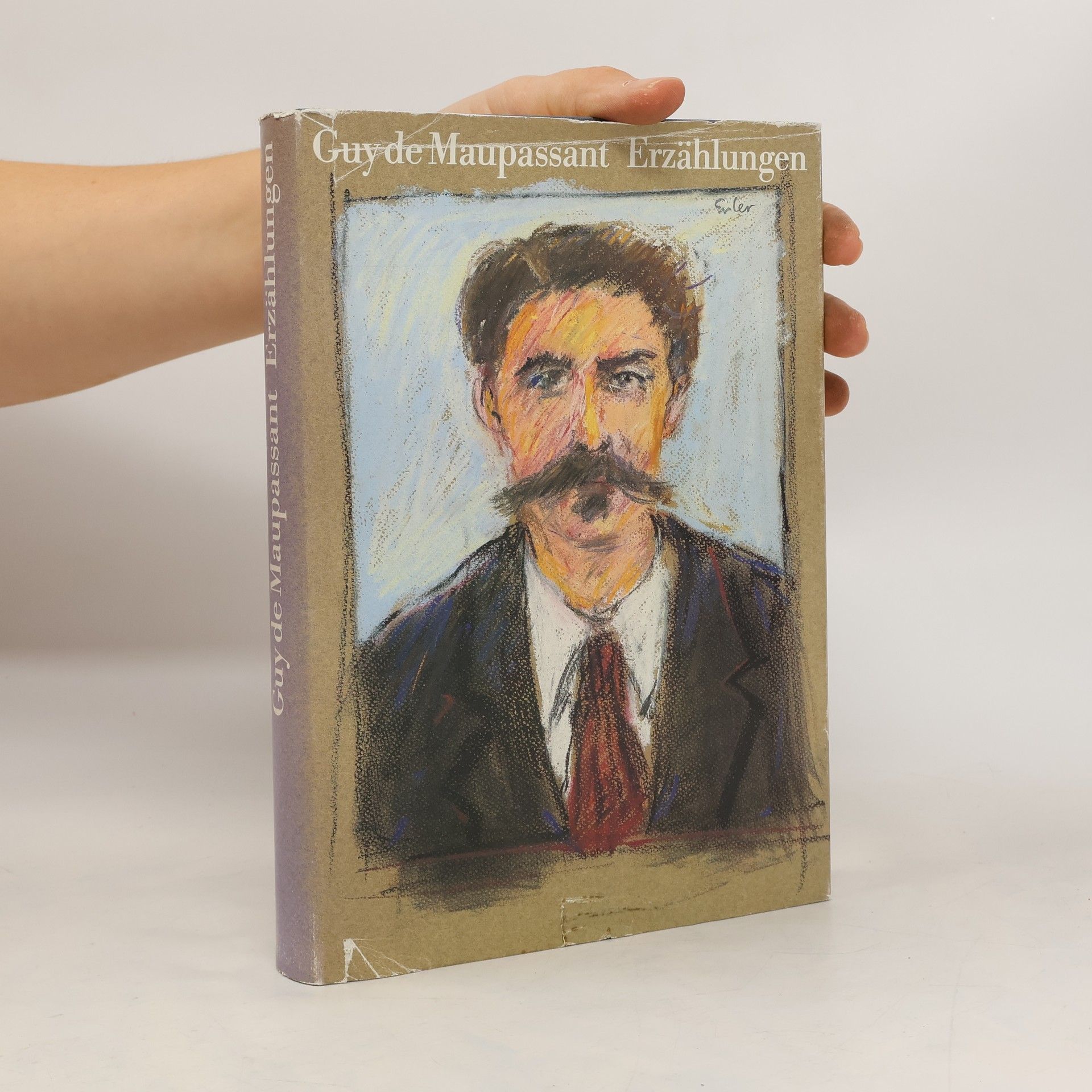 Guy de Maupassant Erzählungen