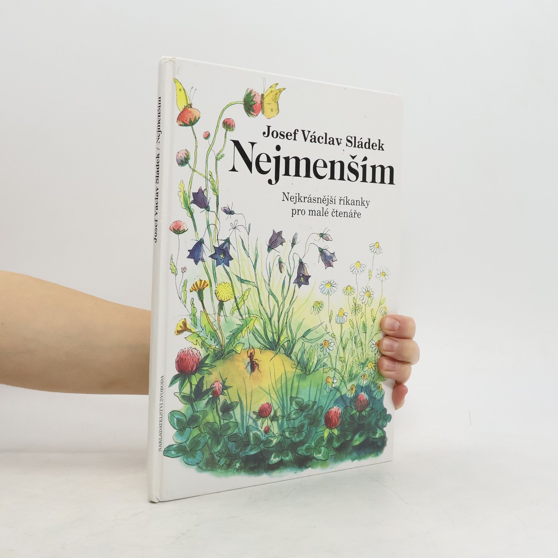 Josef Václav Sládek Nejmenším