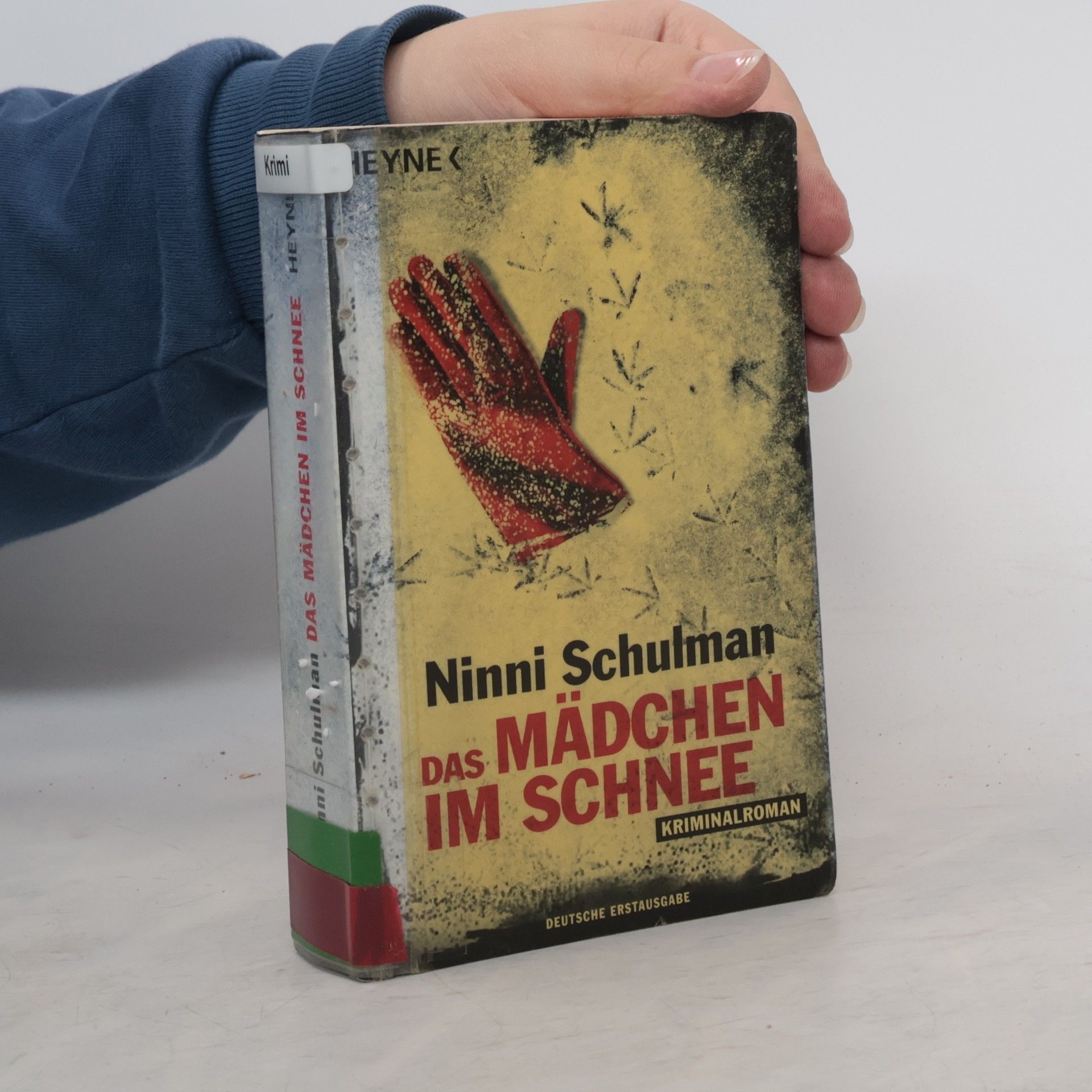 Ninni Schulman Das Mädchen im Schnee