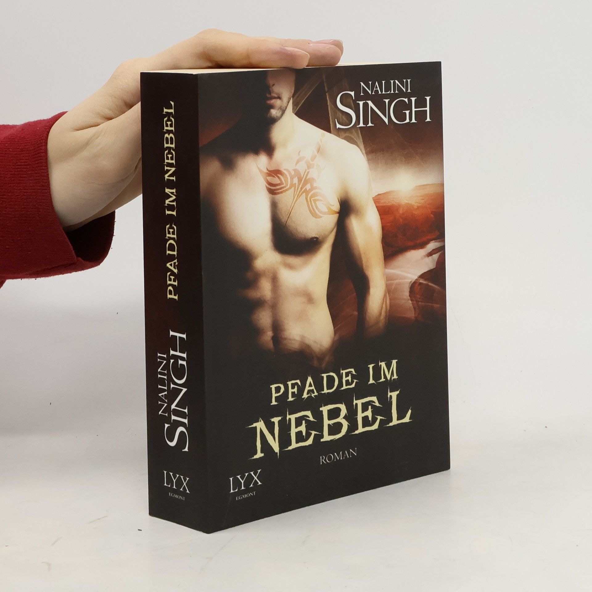 Nalini Singh Pfade im Nebel