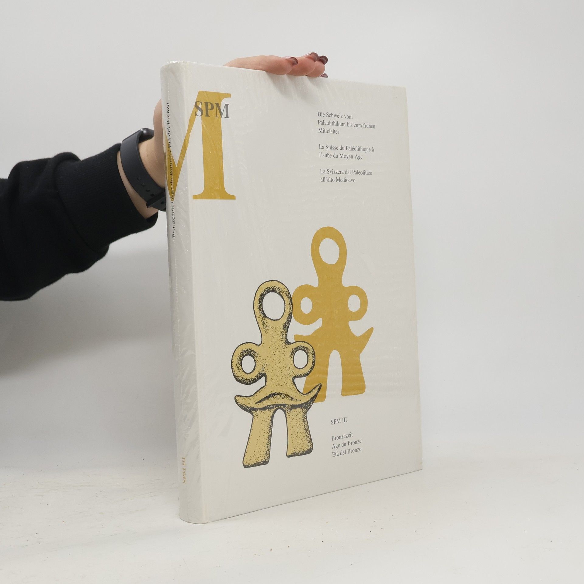 Collectif d'auteurs Die Schweiz vom Paläolithikum bis zum frühen Mittelalter III