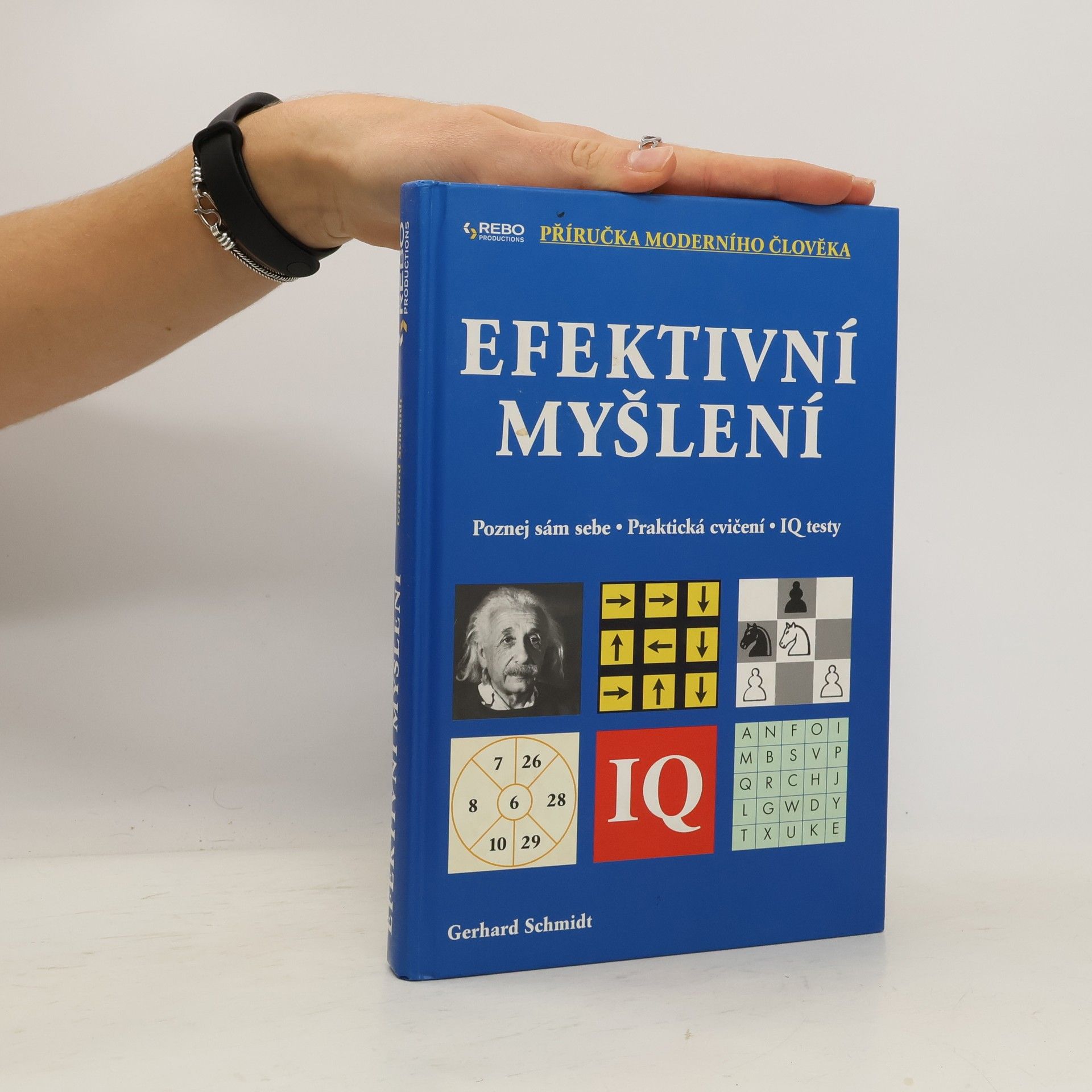 Hans-Gerhard Schmidt Efektivní myšlení