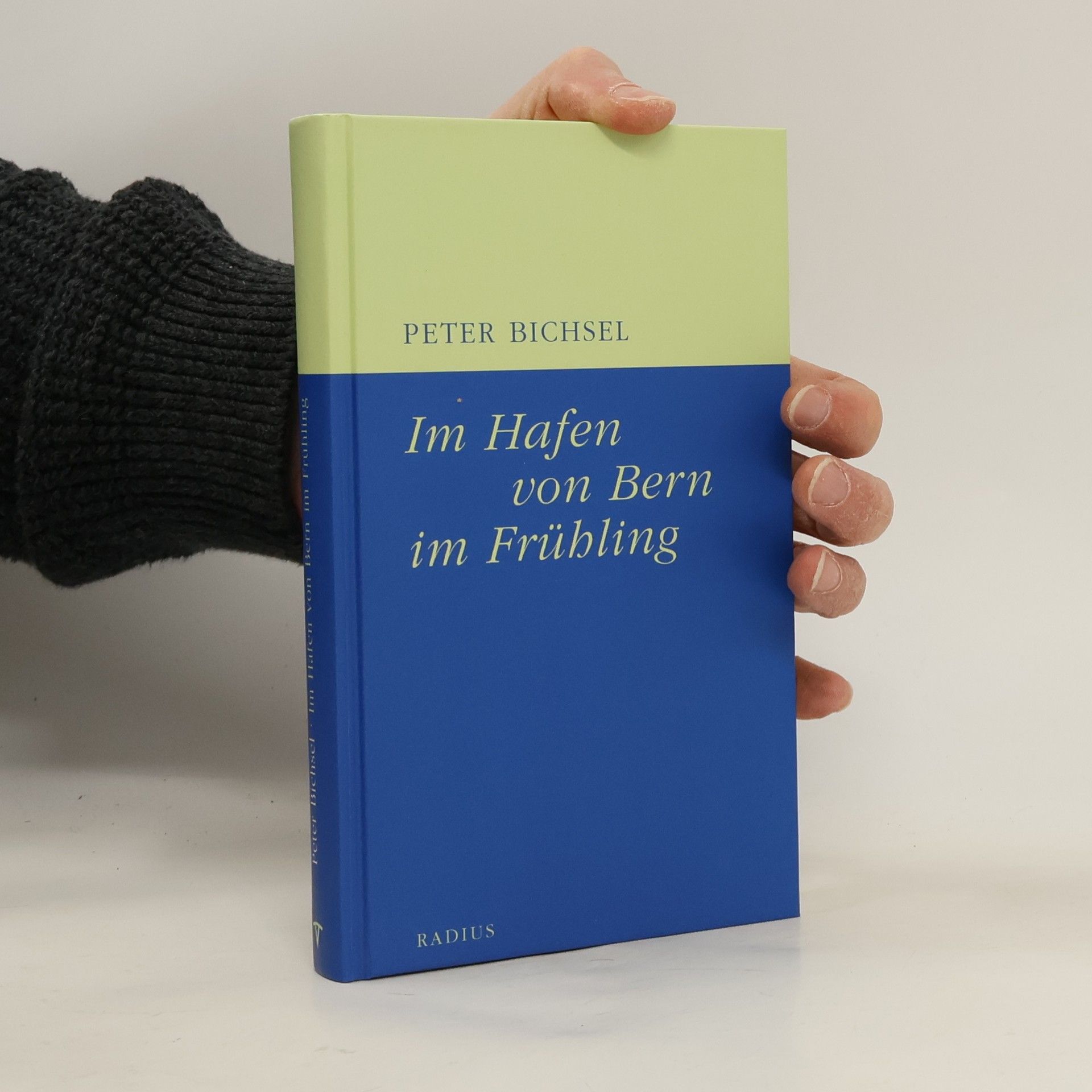 Peter Bichsel Im Hafen von Bern im Frühling