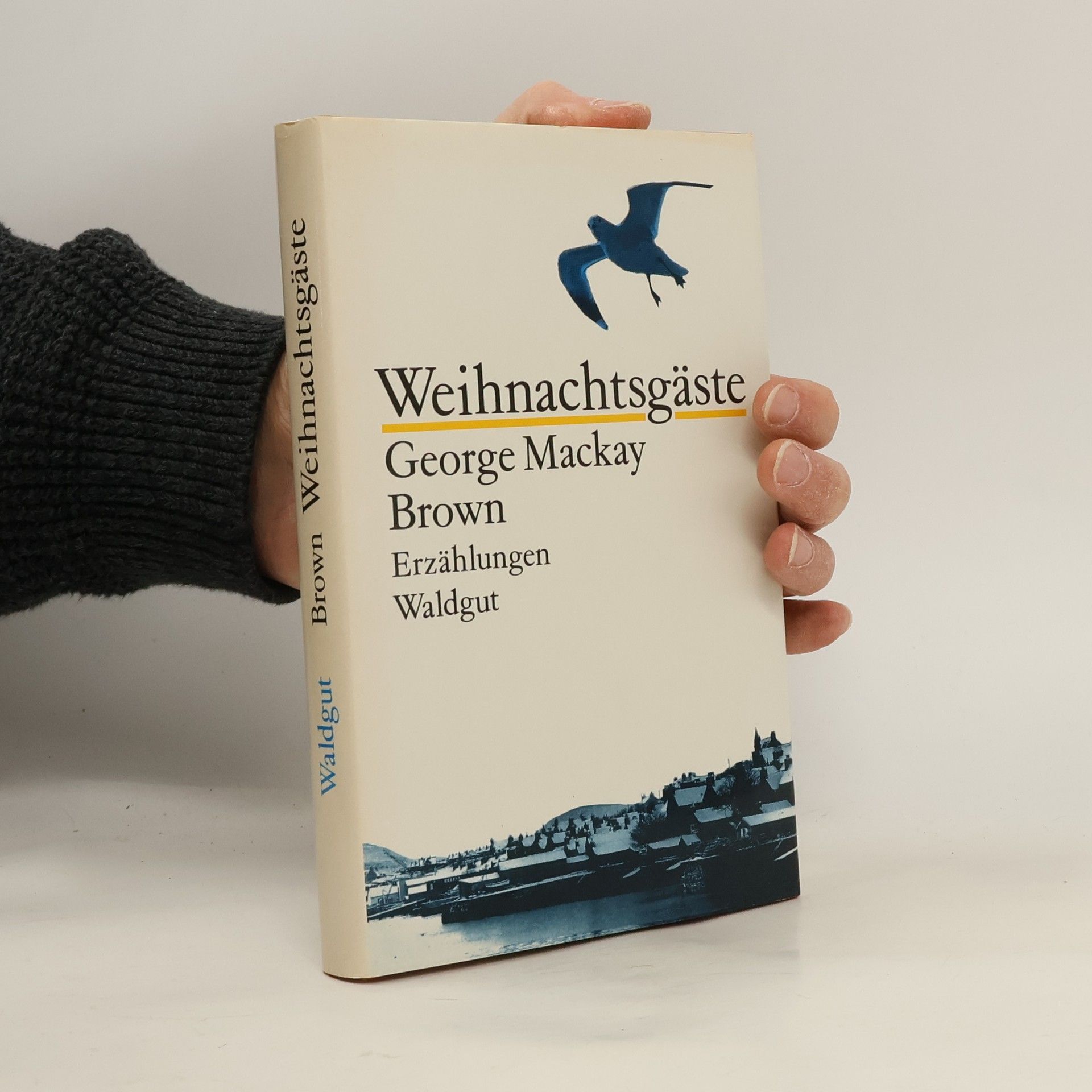 Weihnachtsgäste. Erzählungen