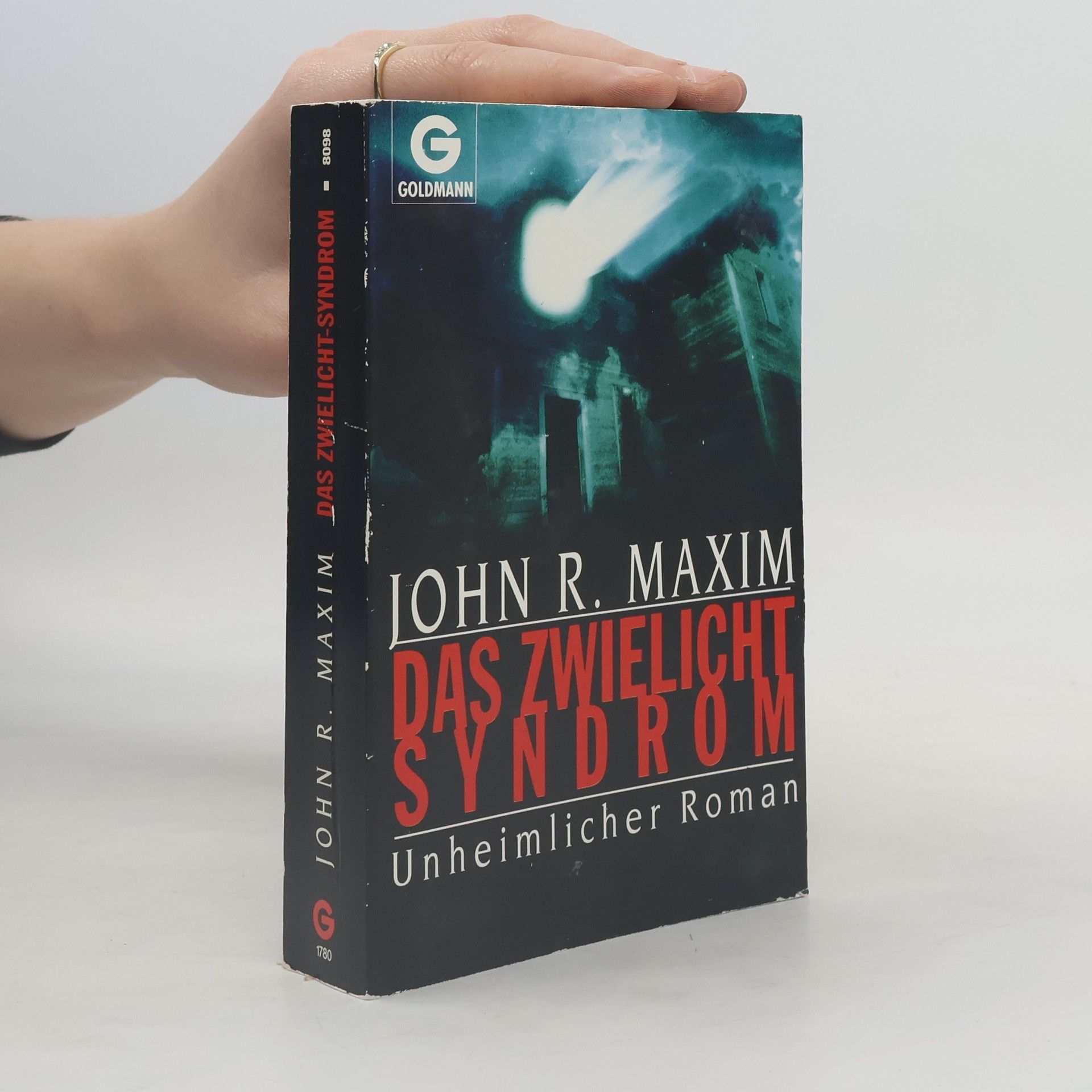 Das Zwielicht - Syndrom. Unheimlicher Roman.