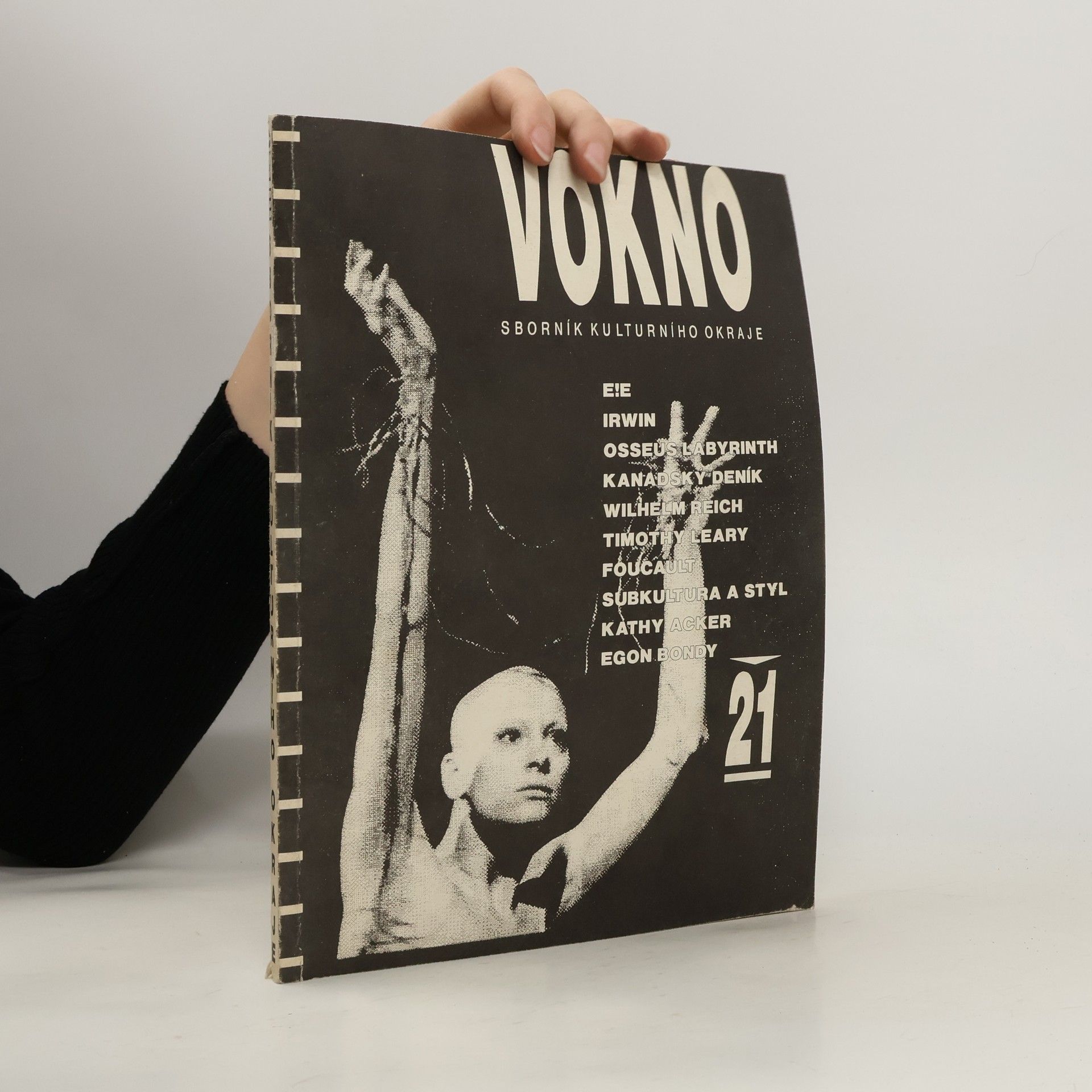 Collectif d'auteurs Vokno: sborník kulturního okraje 21