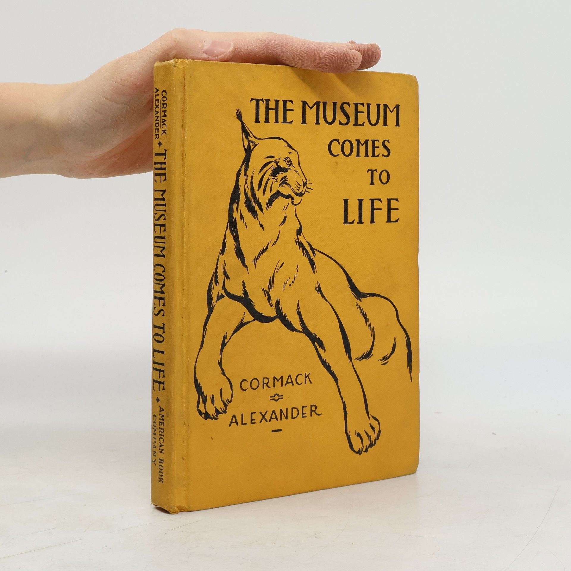 The Museum Comes to Life