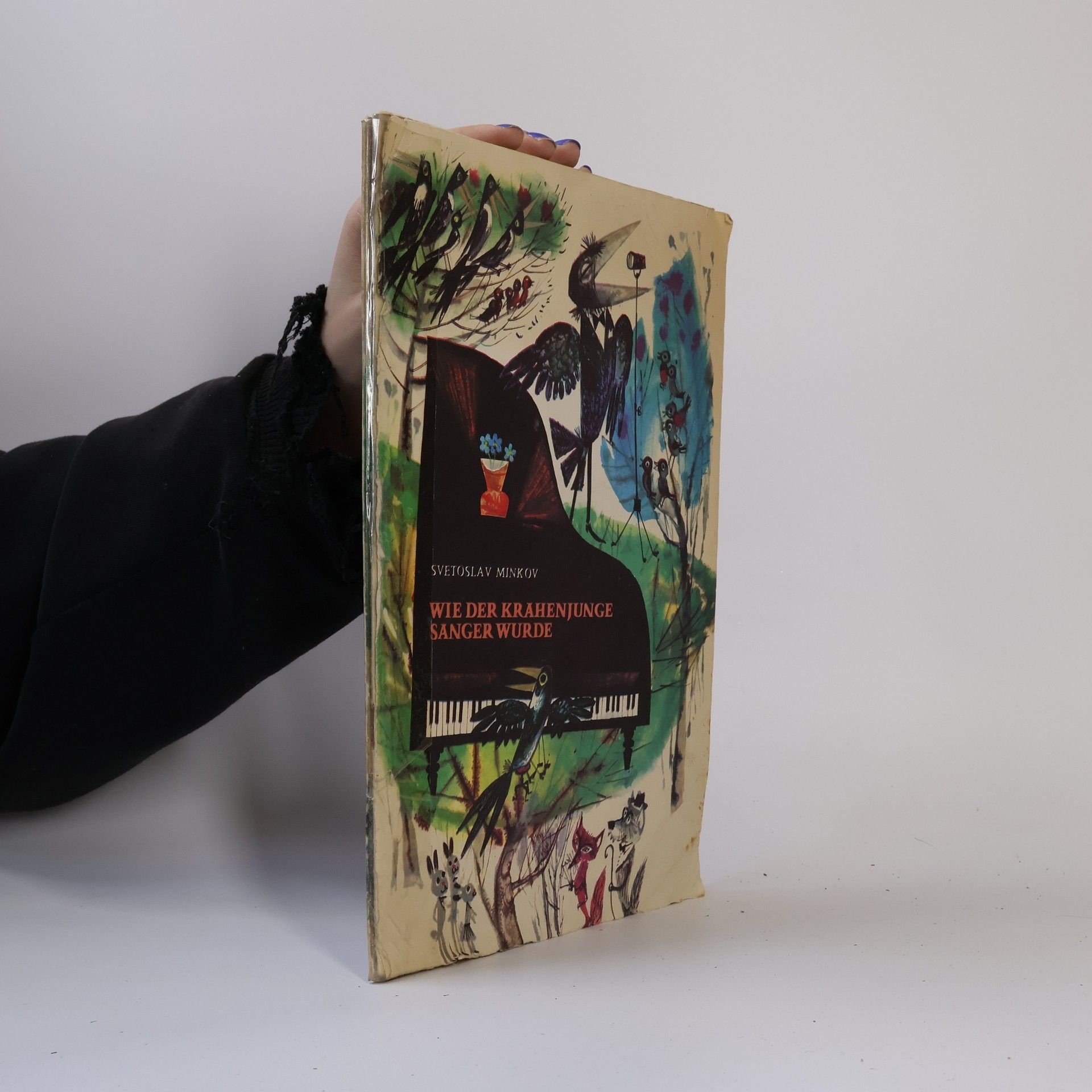 Wie der Krähenjunge Sänger wurde