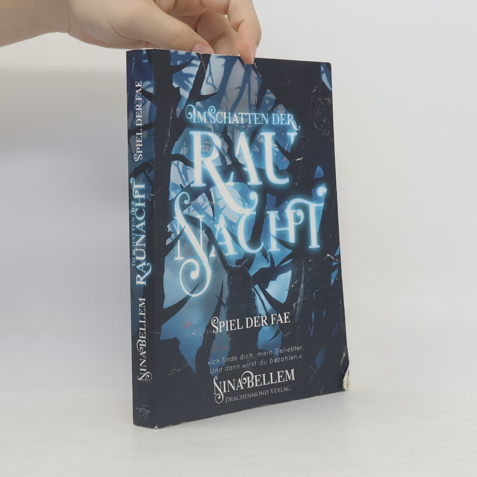 Nina Bellem Im Schatten der Raunacht