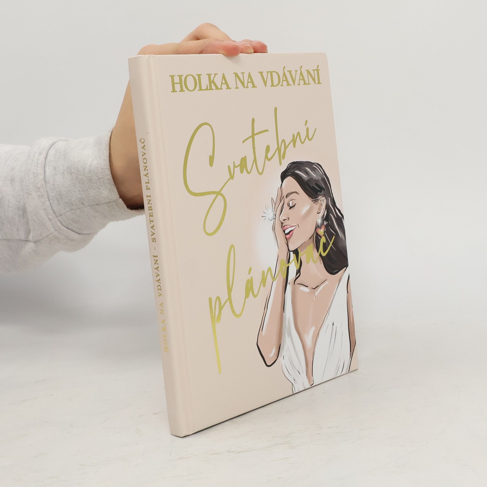 Megy Literová Holka na vdávání - Svatební plánovač