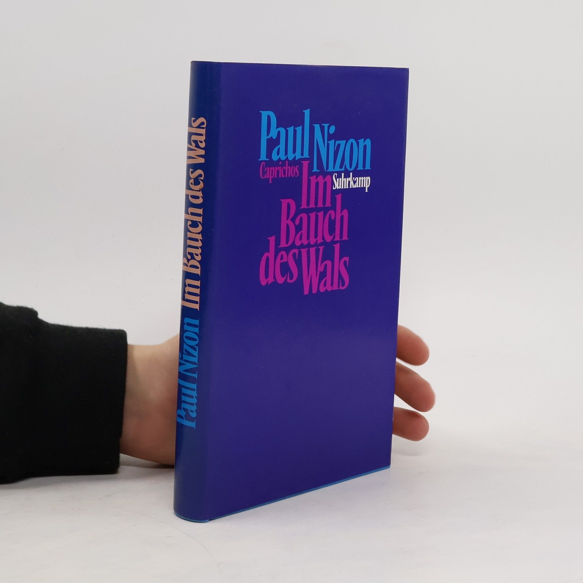 Paul Nizon Im Bauch des Wals