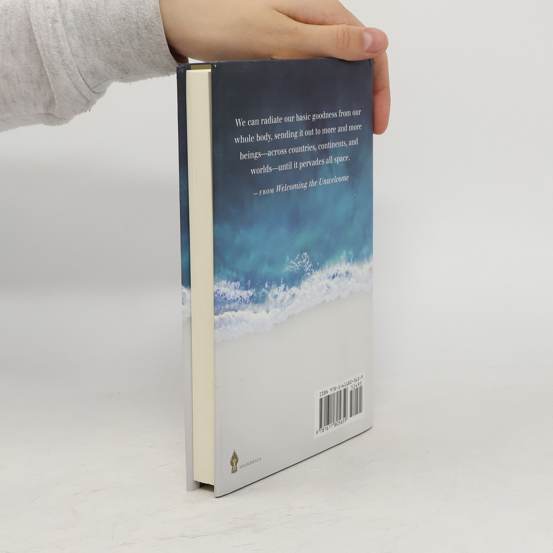 Pema Chödrön Welcoming the Unwelcome