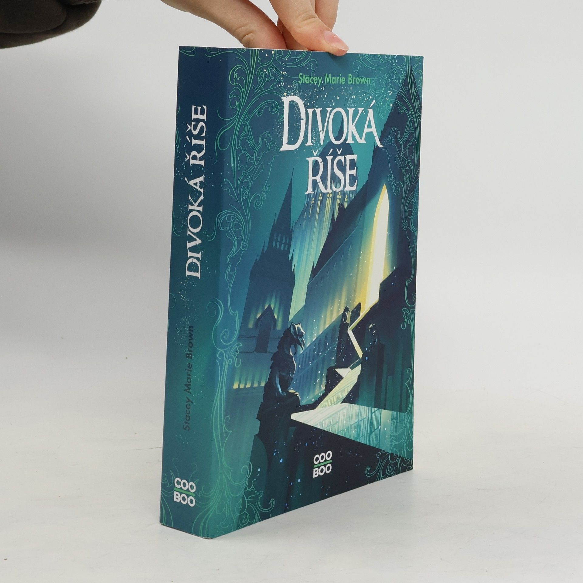 Stacey Marie Brown Divoká říše