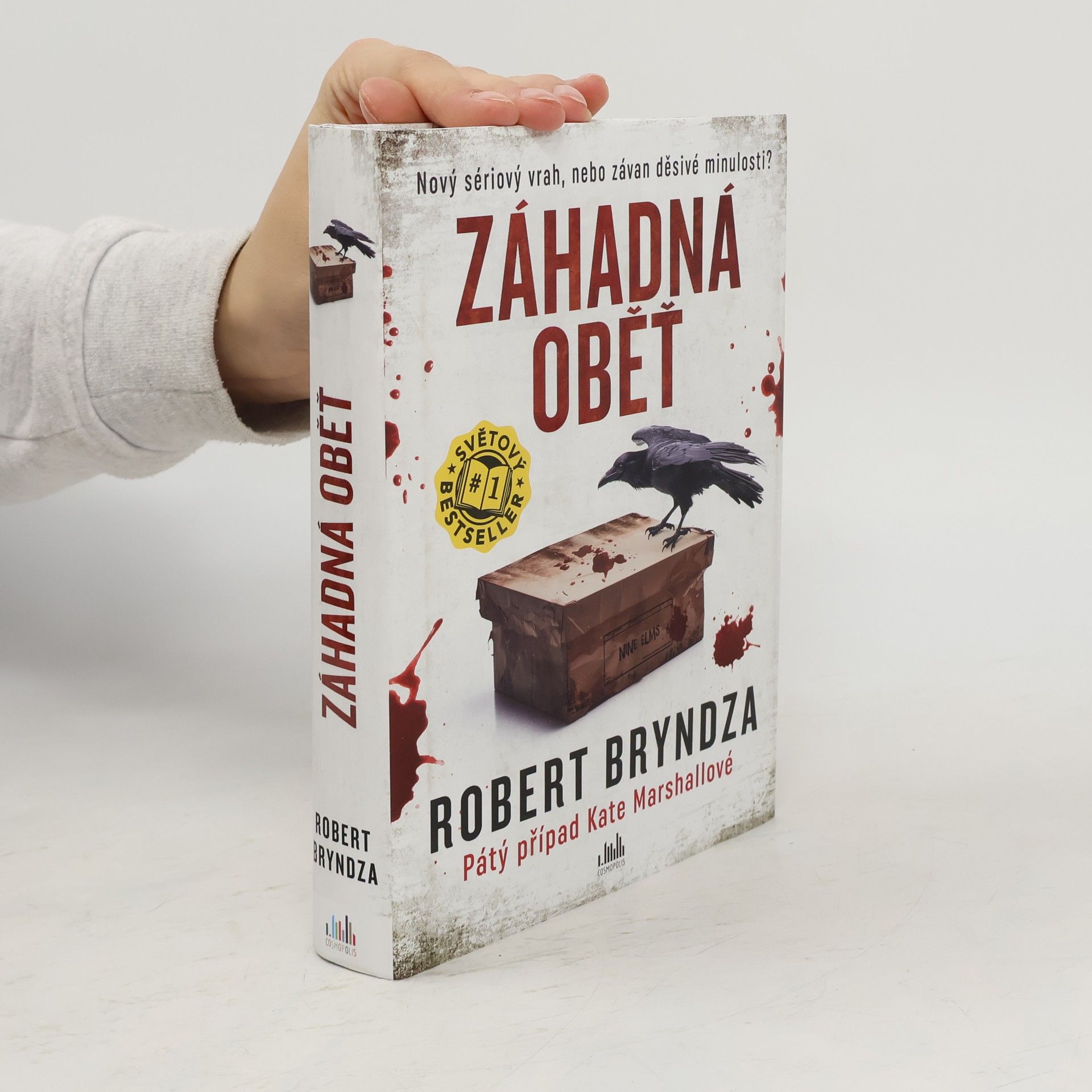 Robert Bryndza Záhadná oběť