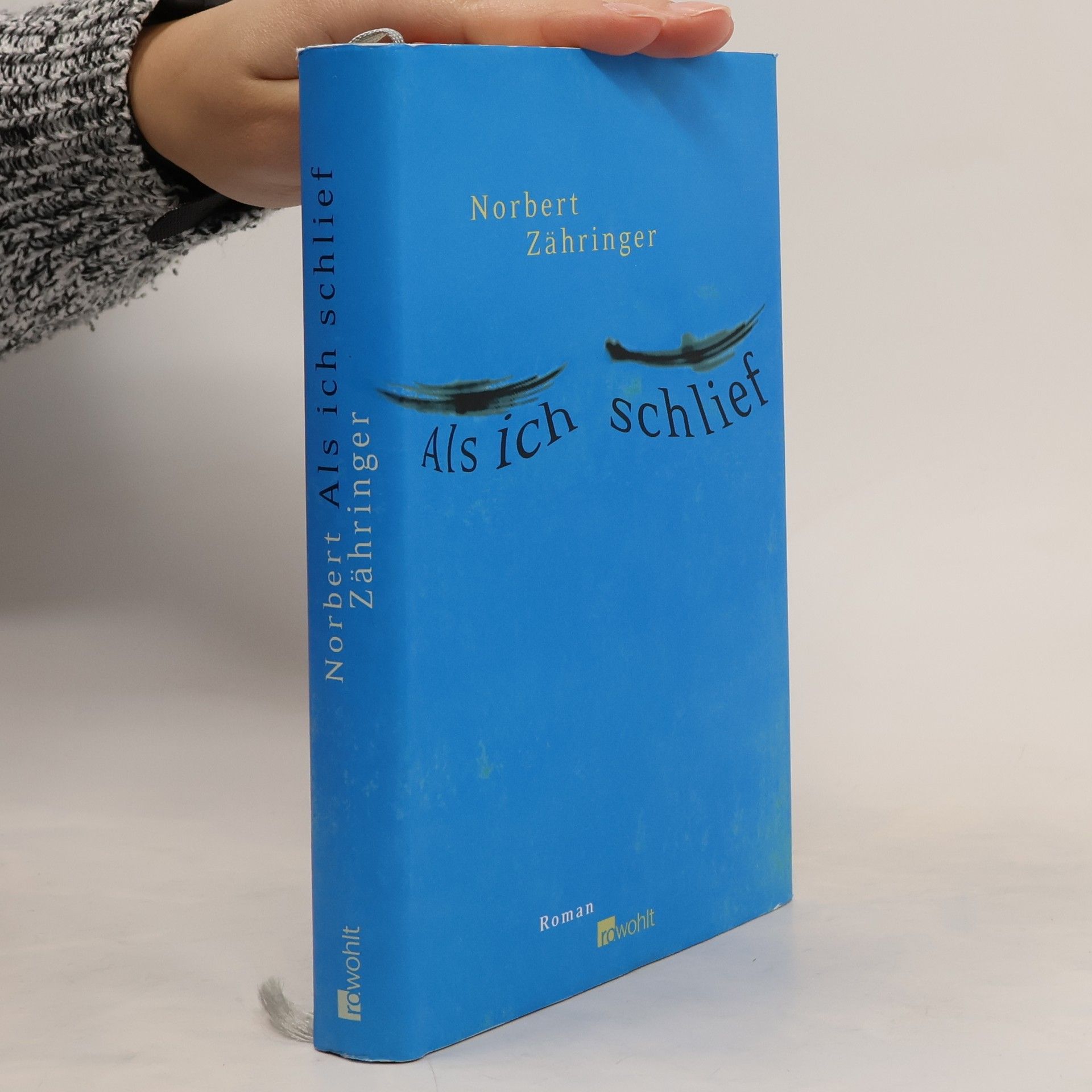 Norbert Zähringer Als ich schlief