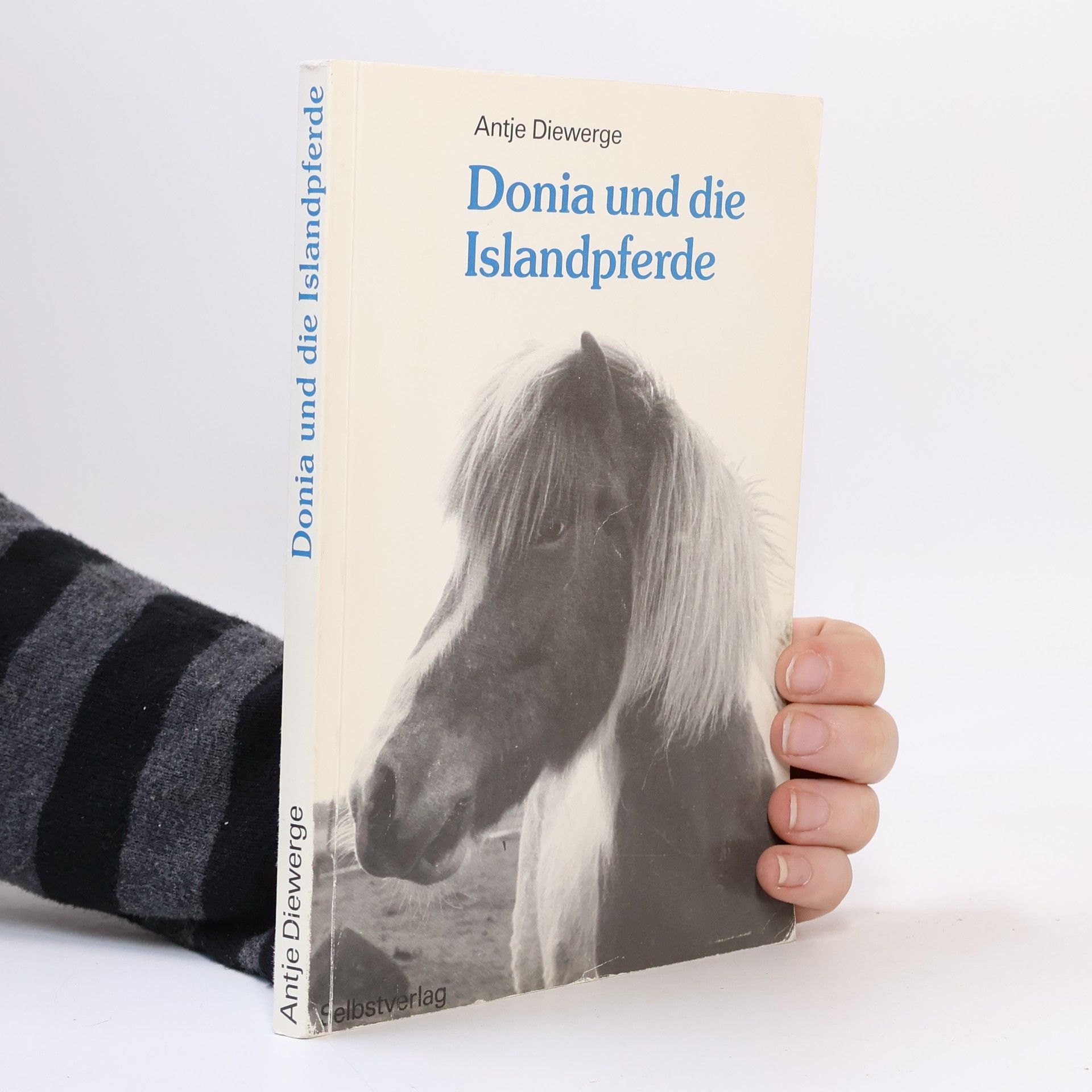 Antje Diewerge Donia und die Islandpferde