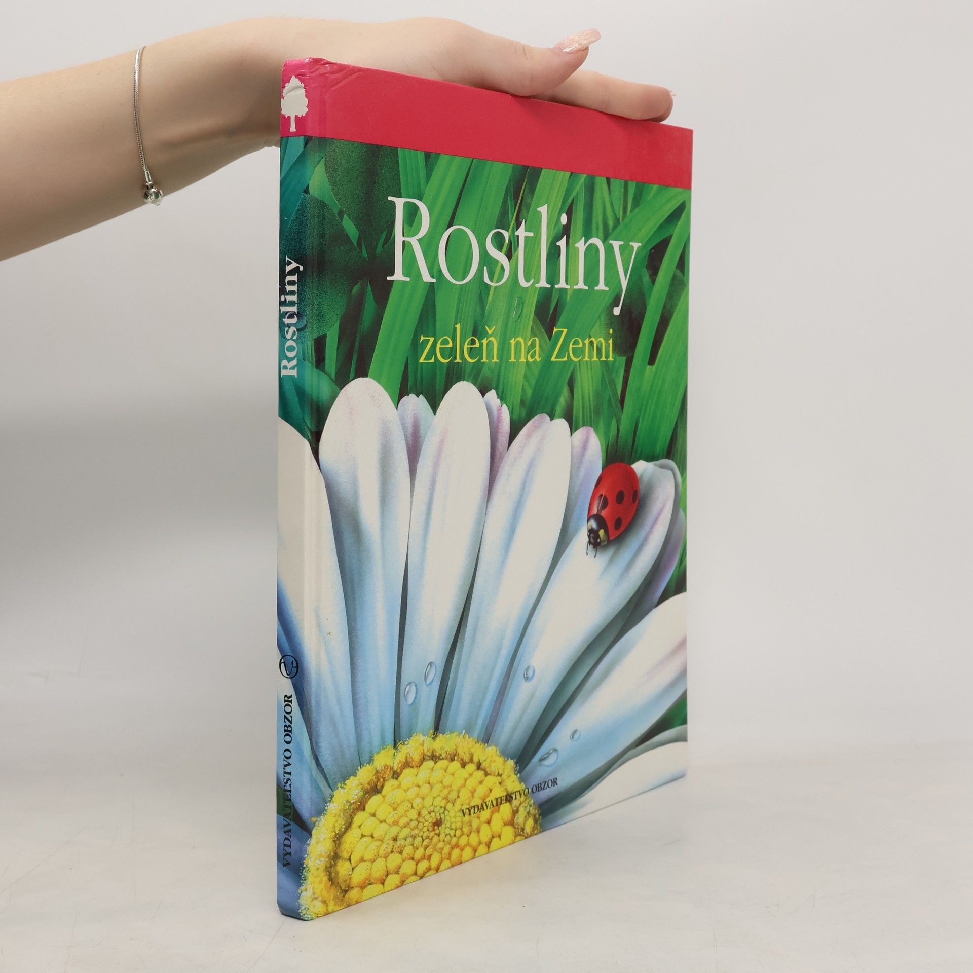 Lucia Benedittiová Rostliny. Zeleň na zemi