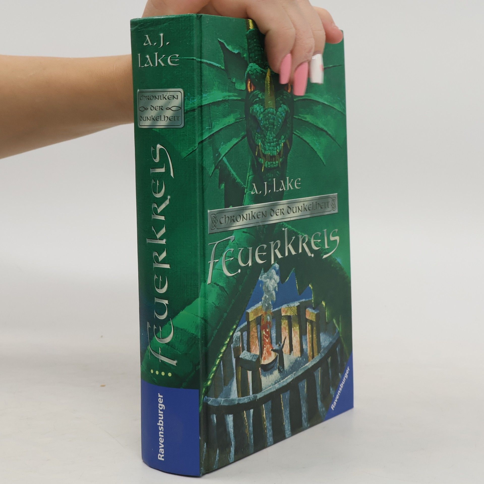 A. J. Lake Chroniken der Dunkelheit. Feuerkreis