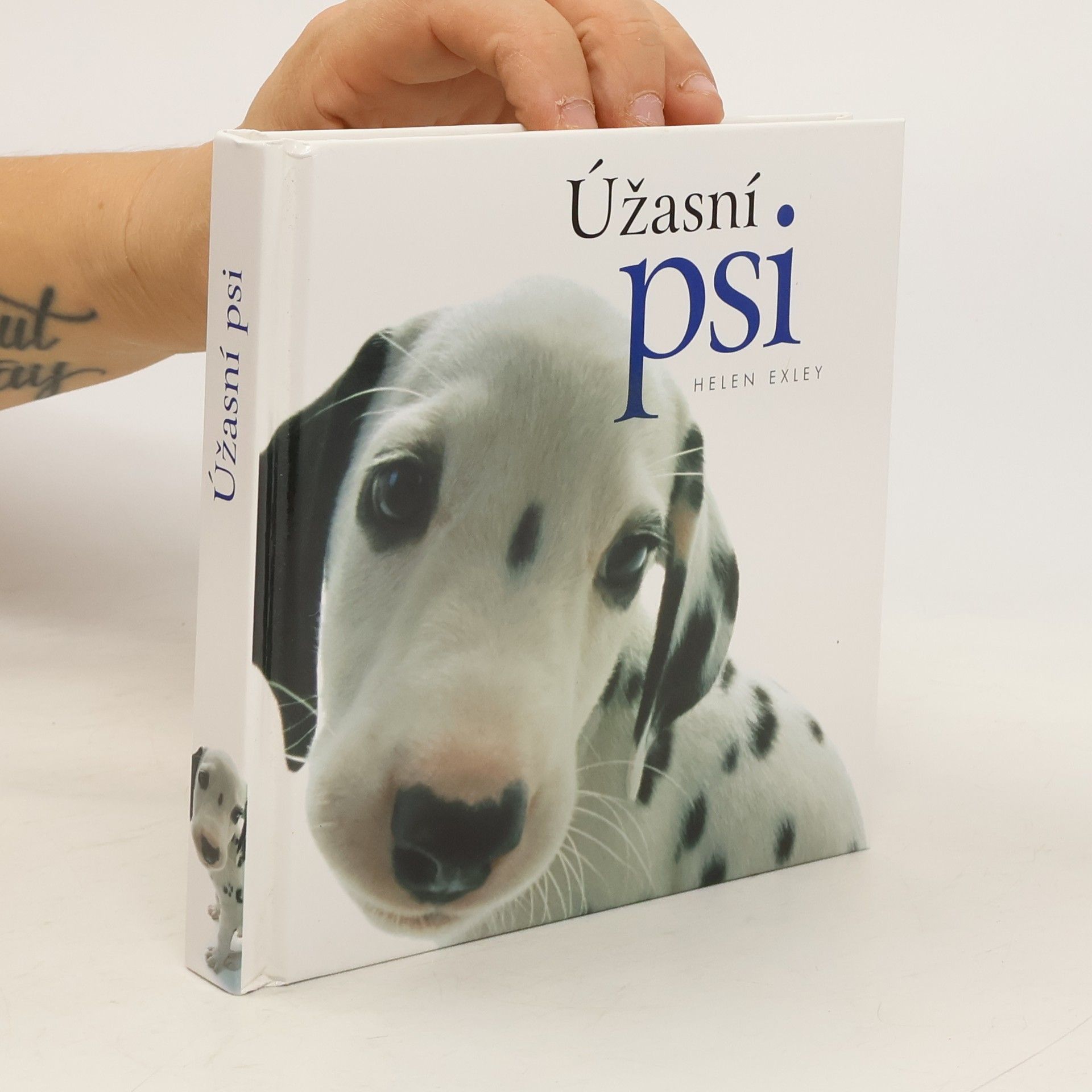 Yoneo Morita Úžasní psi