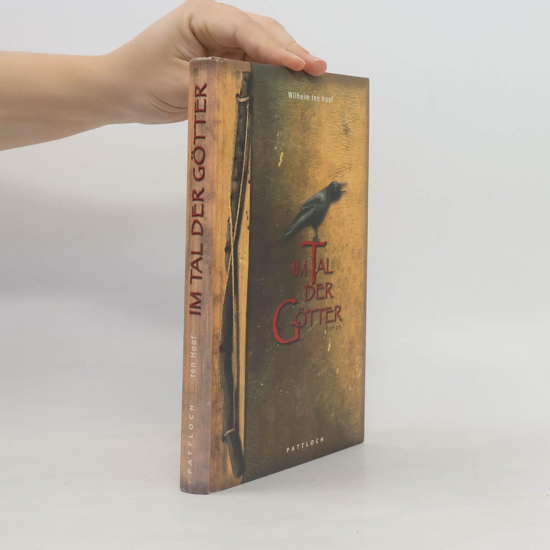 Wilhelm Ten Haaf Im Tal der Götter