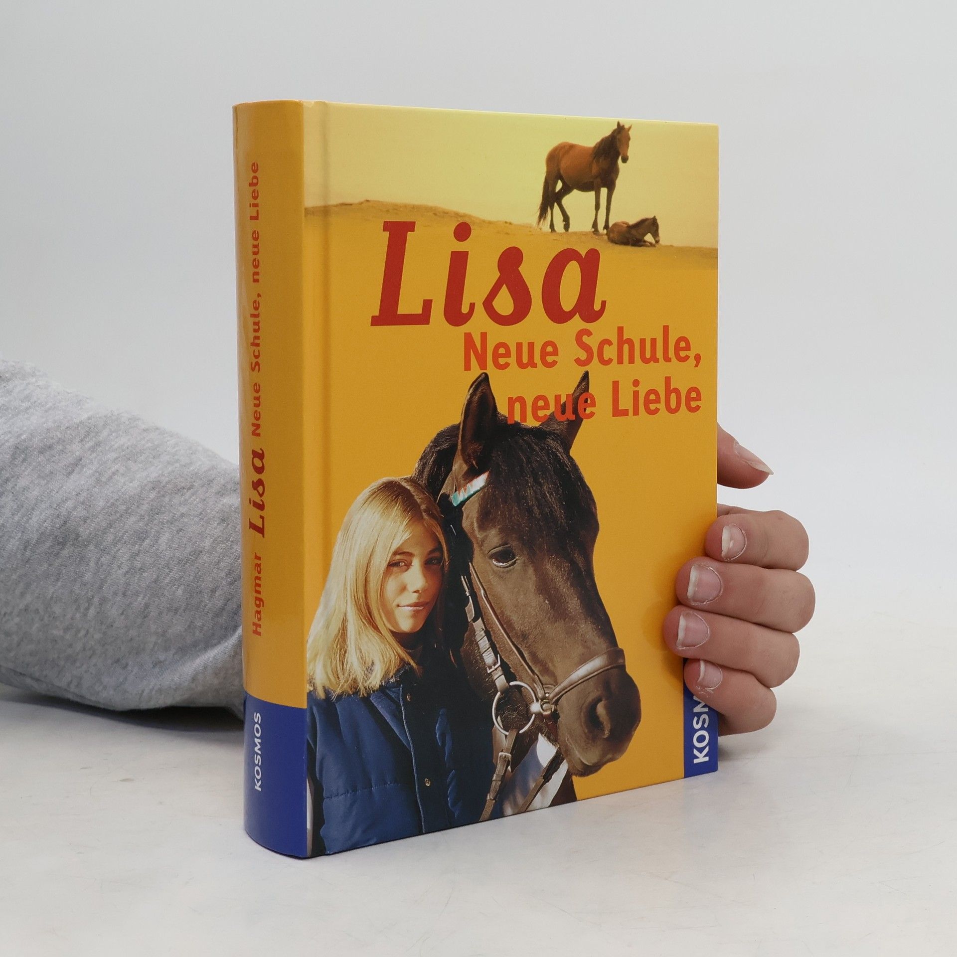 Lisa, Neue Schule, neue Liebe