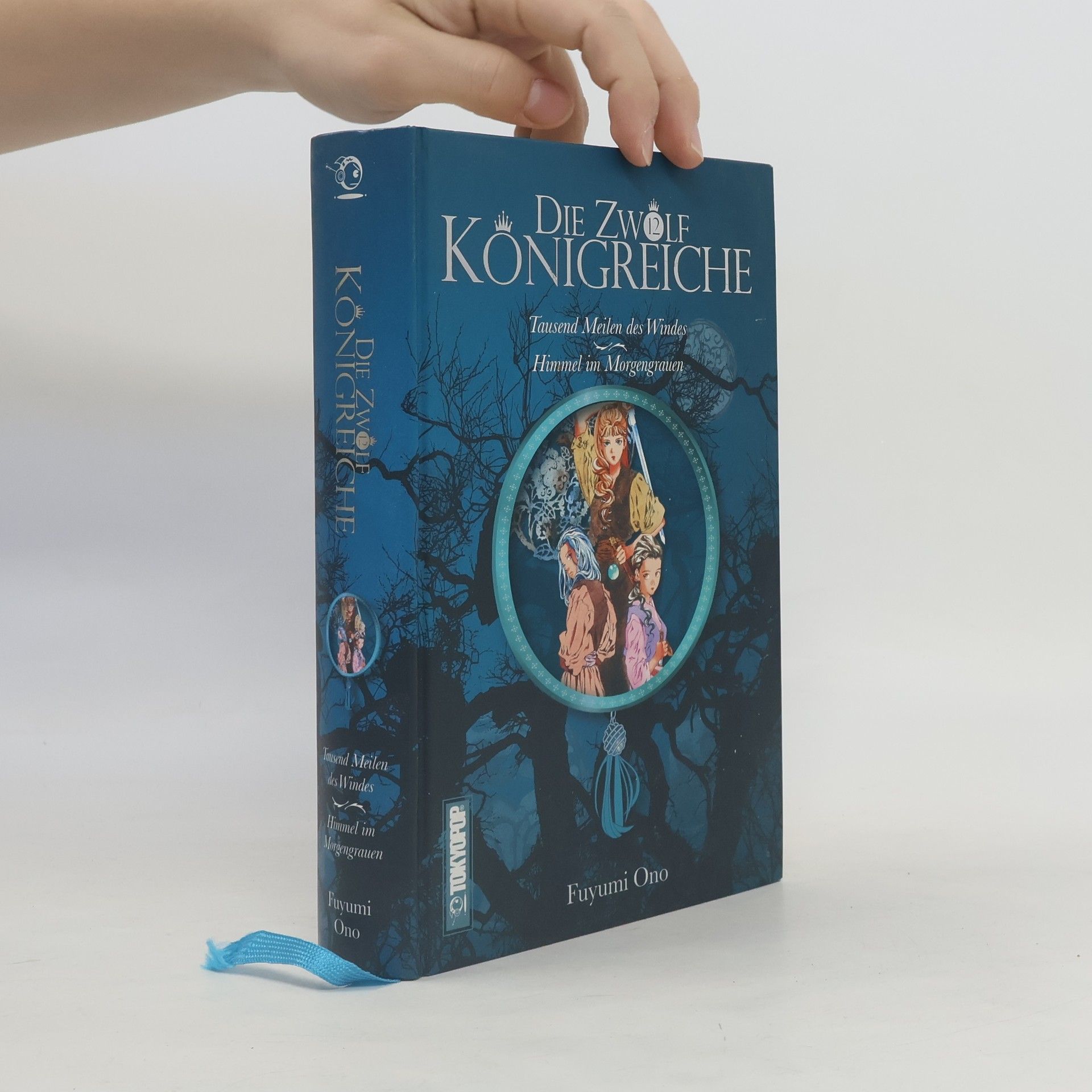 Fuyumi Ono Die zwölf Königreiche