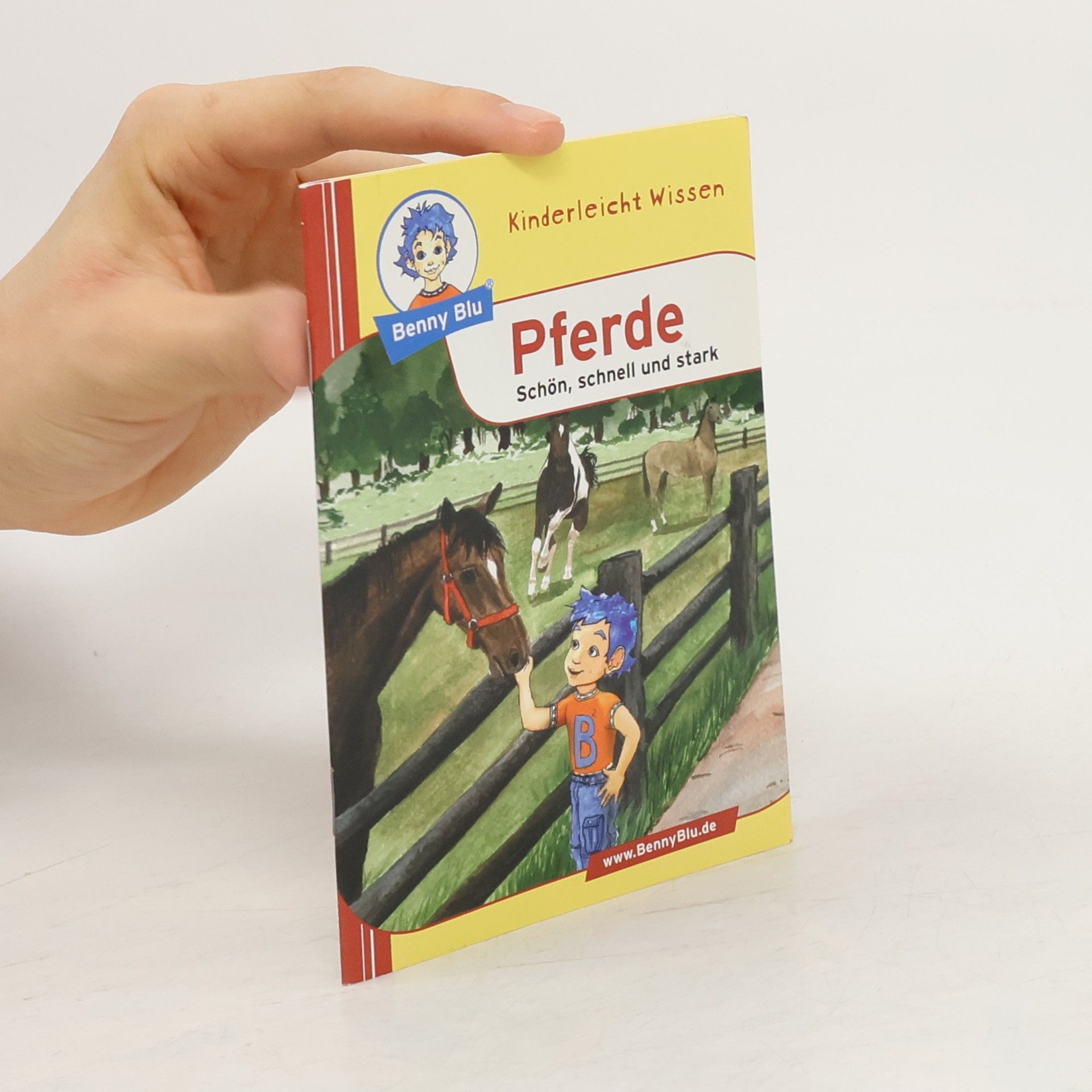 Nicola Herbst Pferde