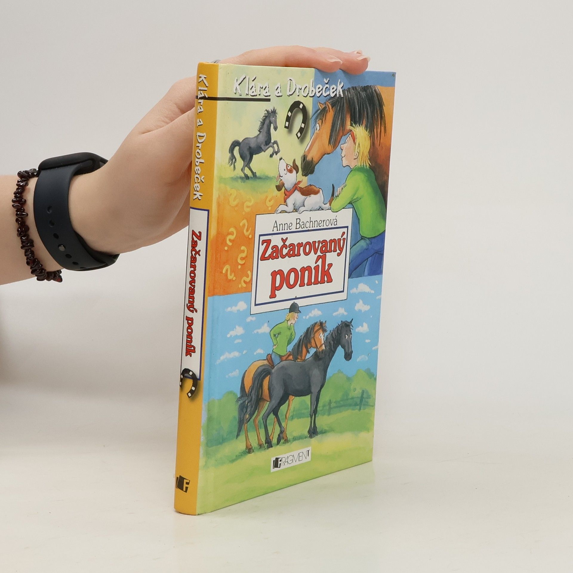 Anne Bachner Začarovaný poník