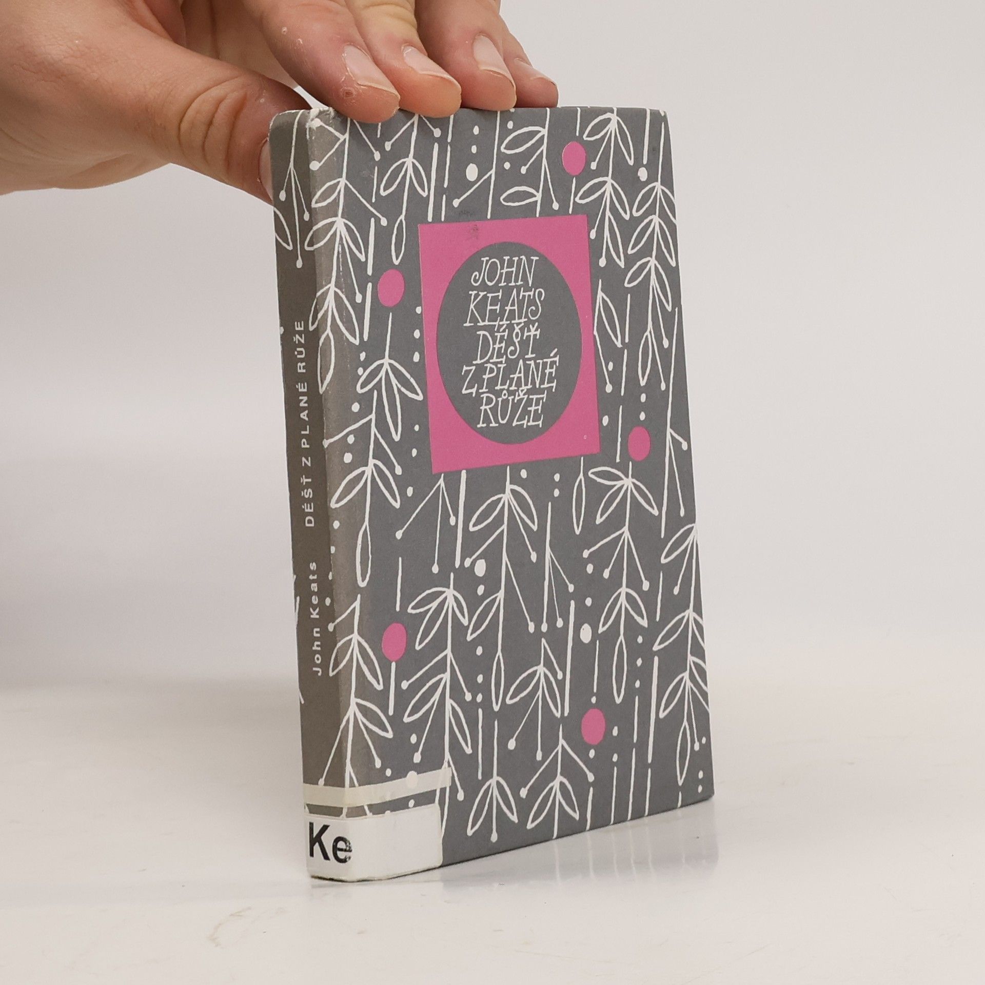 John Keats Déšť z plané růže