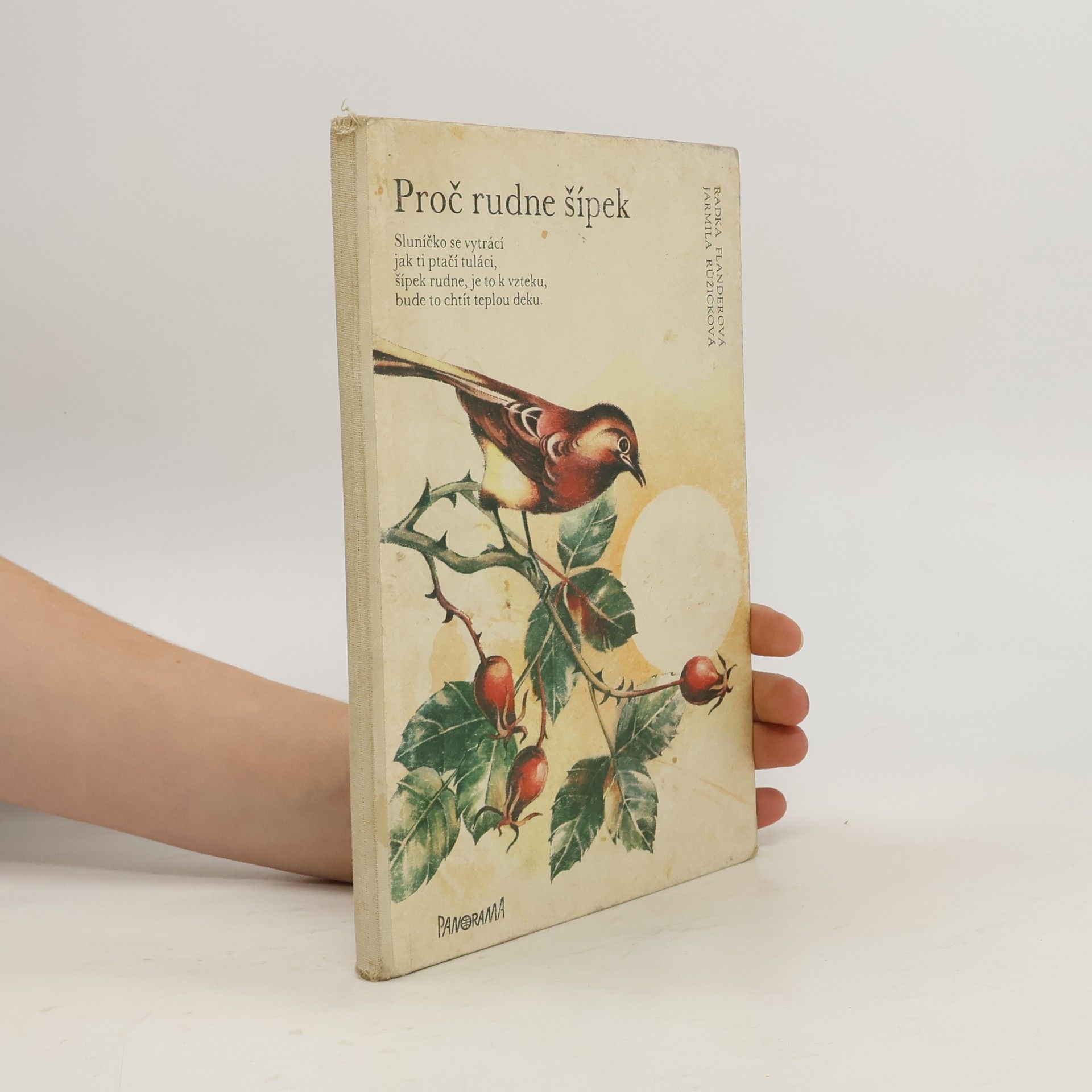 Radka Flanderová Proč rudne šípek