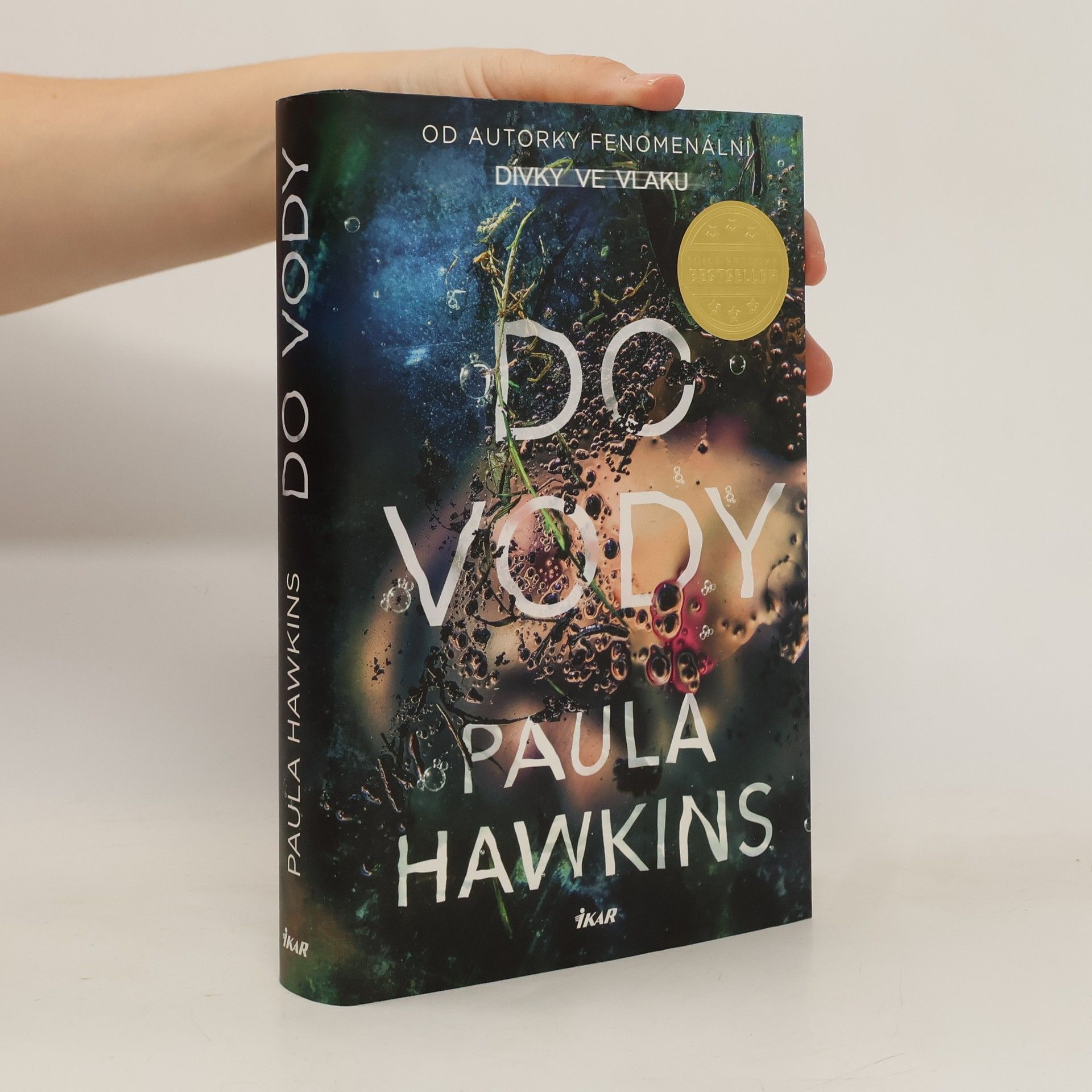 Paula Hawkins Do vody