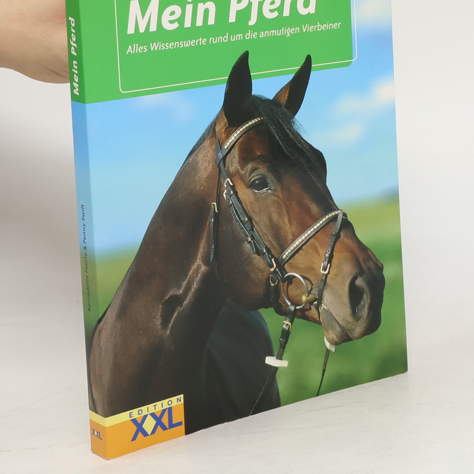 Mein Pferd