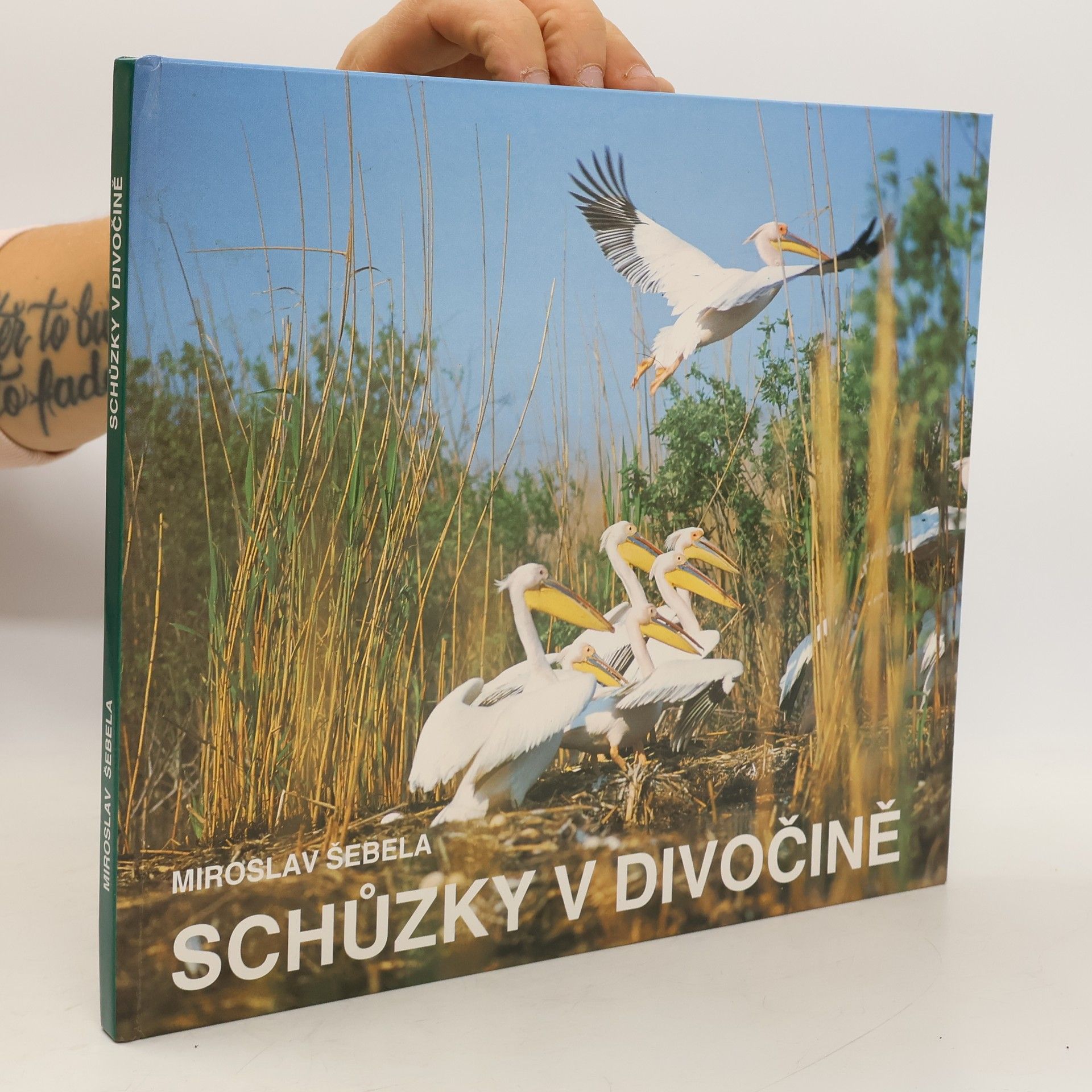 Miroslav Šebela Schůzky v divočině