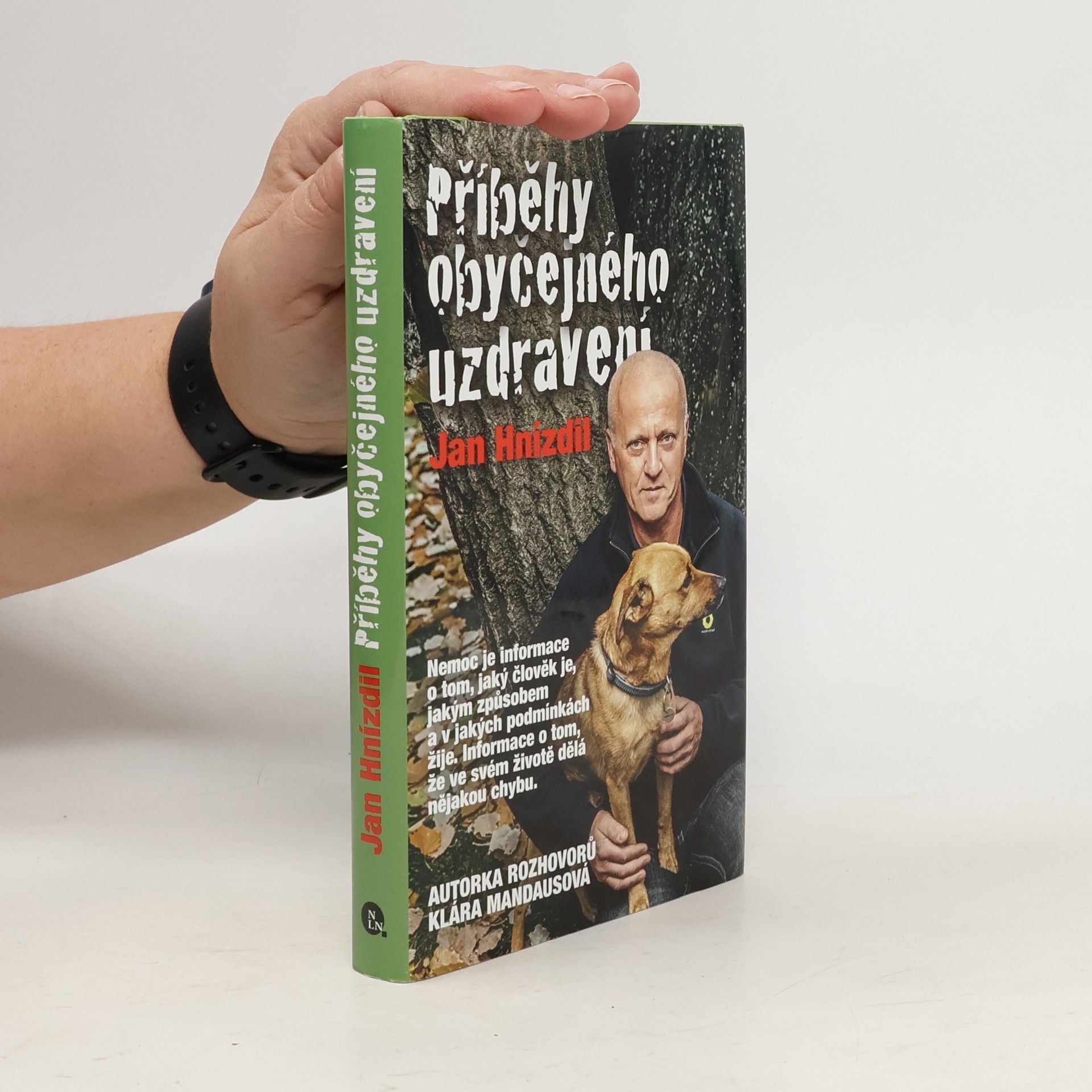 Jan Hnízdil Příběhy obyčejného uzdravení