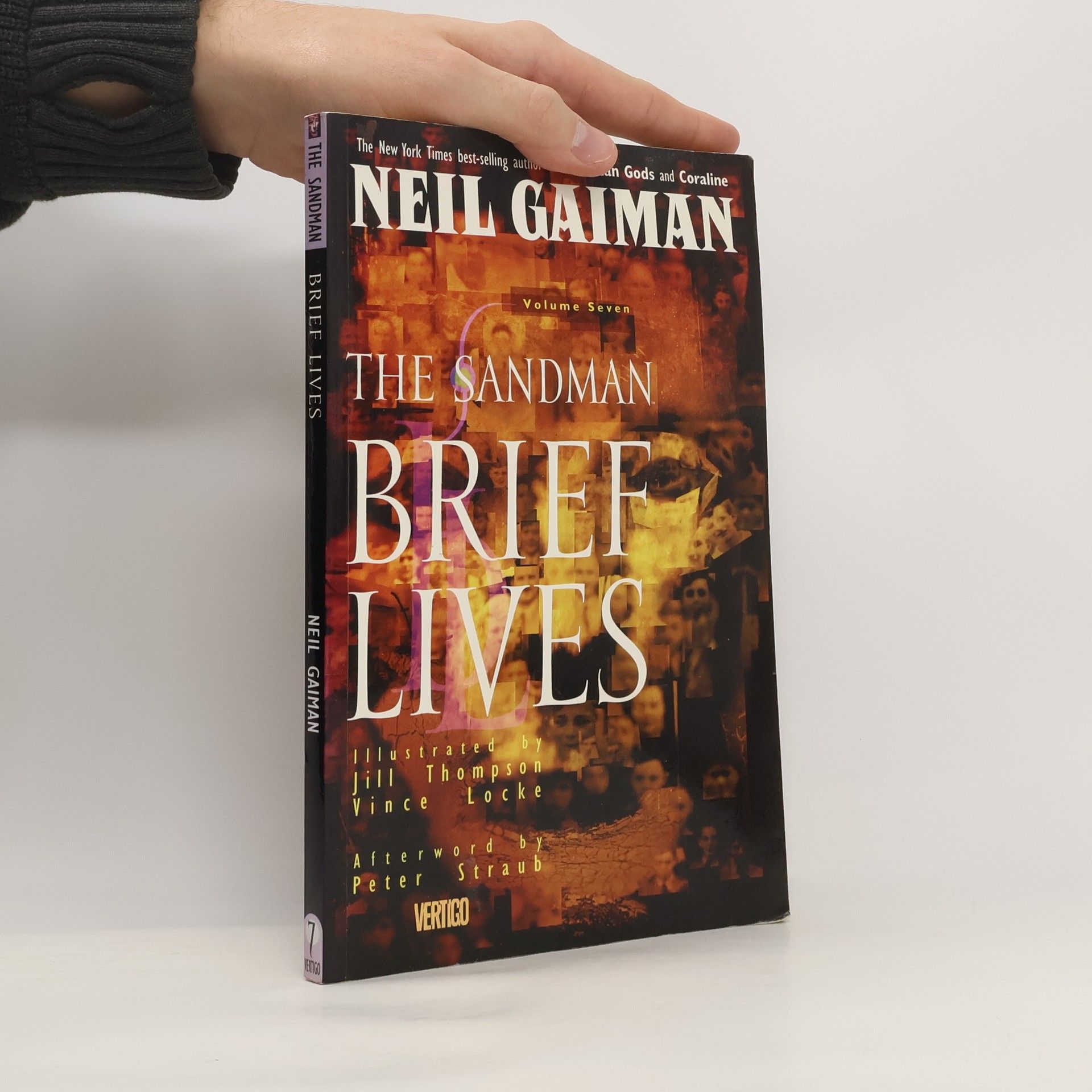 Neil Gaiman The Sandman: Brief Lives Volume 7