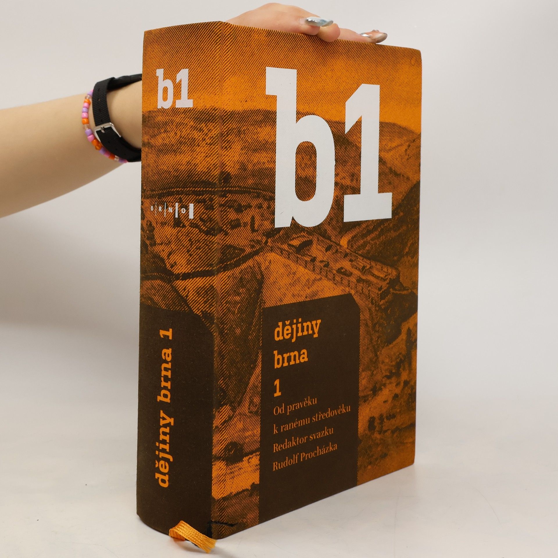 Rudolf Procházka Dějiny Brna 1. Od pravěku k ranému středověku