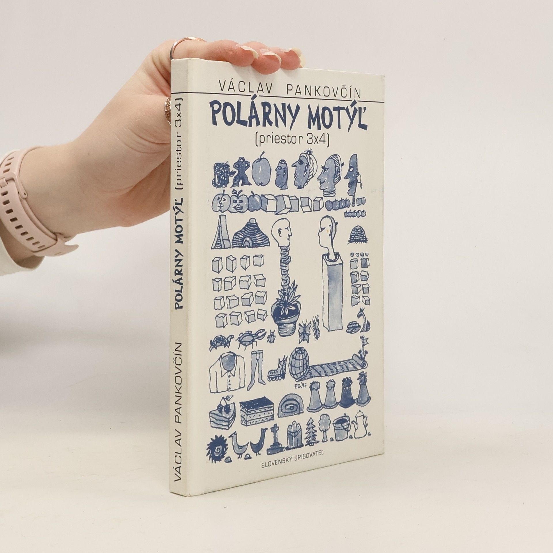 Polárny motýľ (priestor 3x4)