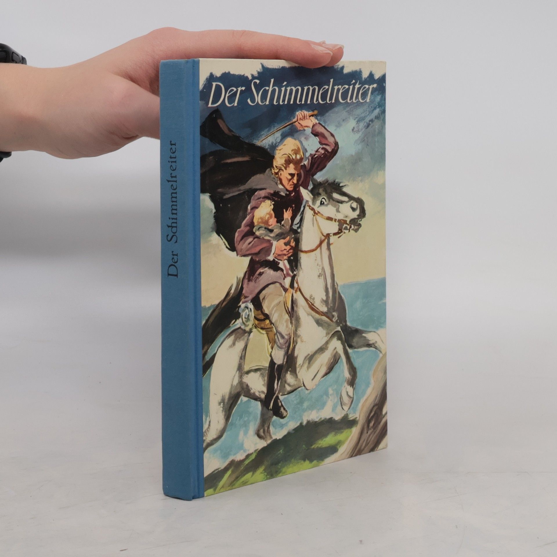 Theodor Storm Der Schimmelreiter