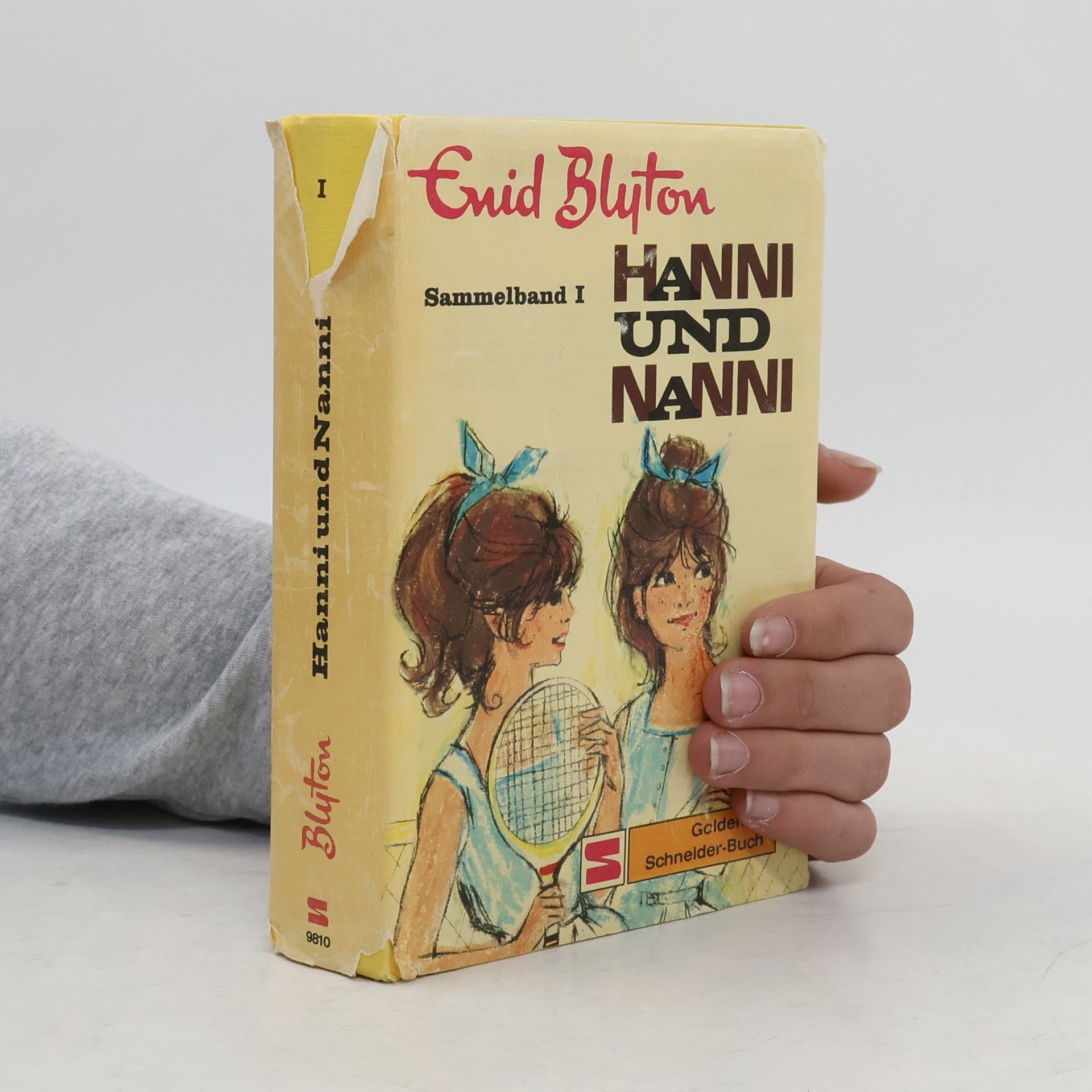 Enid Blyton Hanni und nanni. Sammelband 1