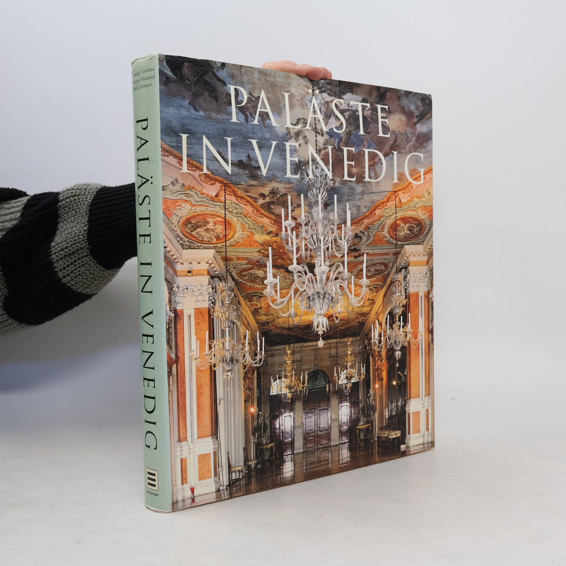 Gianluigi Trivellato Venetian Palazzi