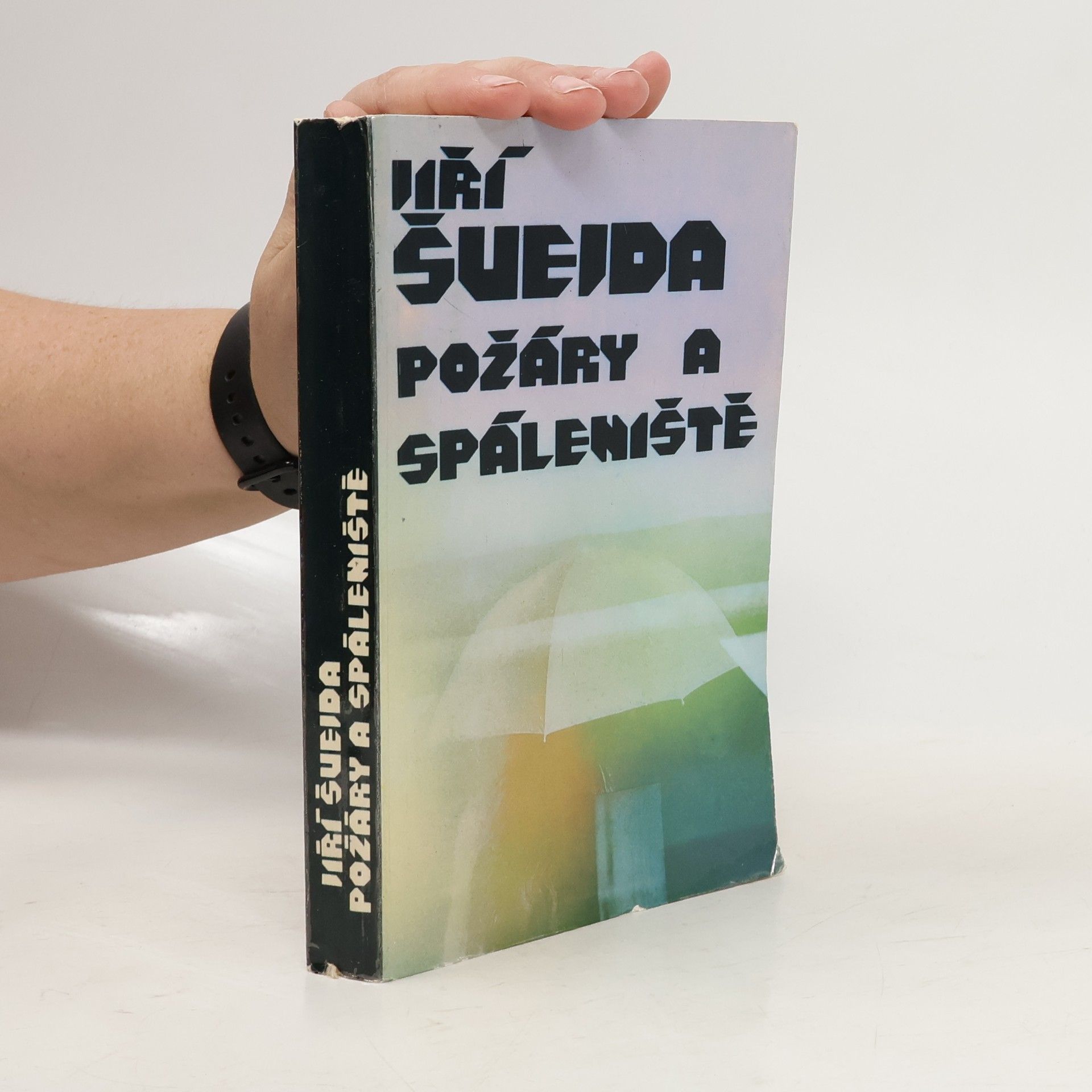 Jirí Svejda Požáry a spáleniště