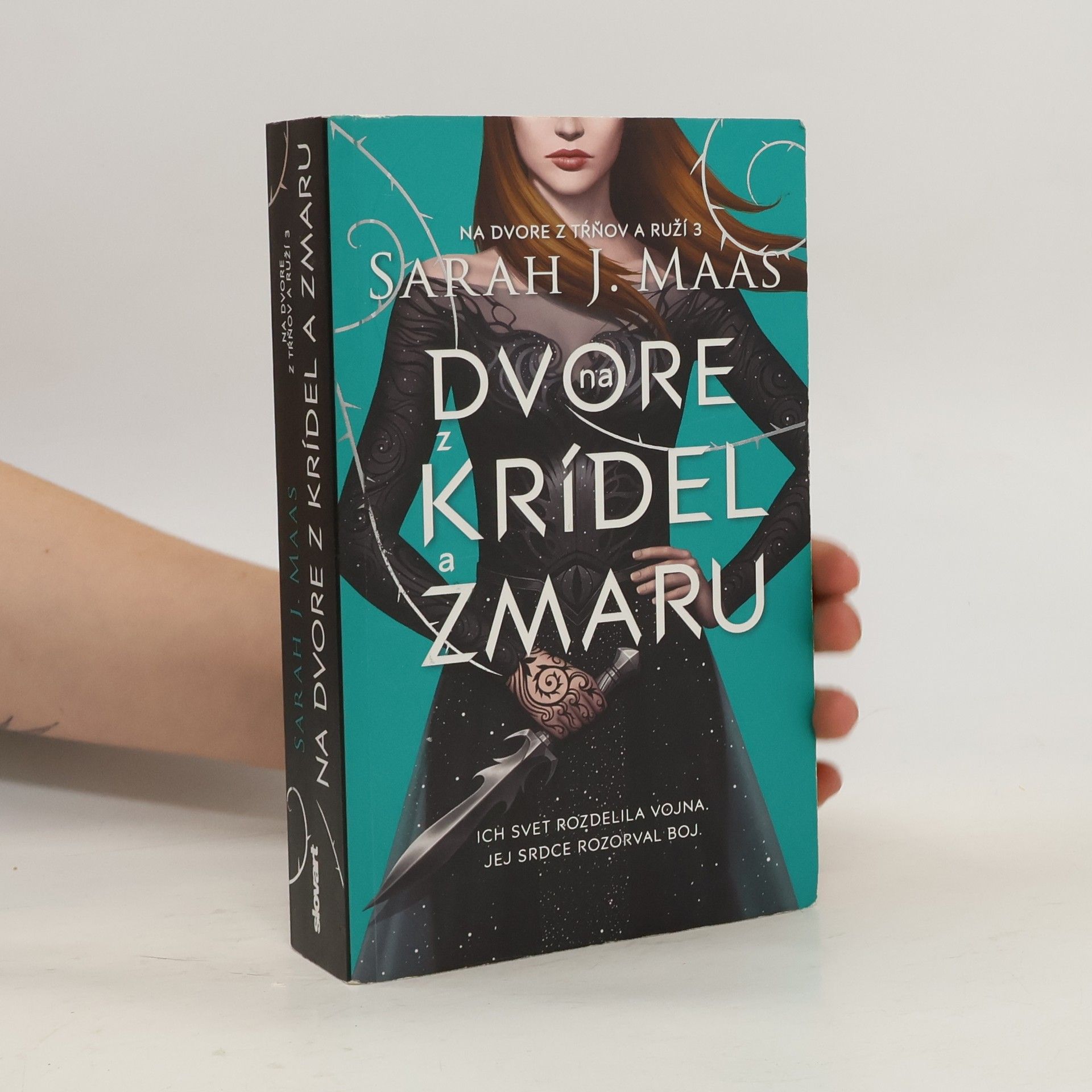 Sarah J. Maas Na dvore z krídel a zmaru