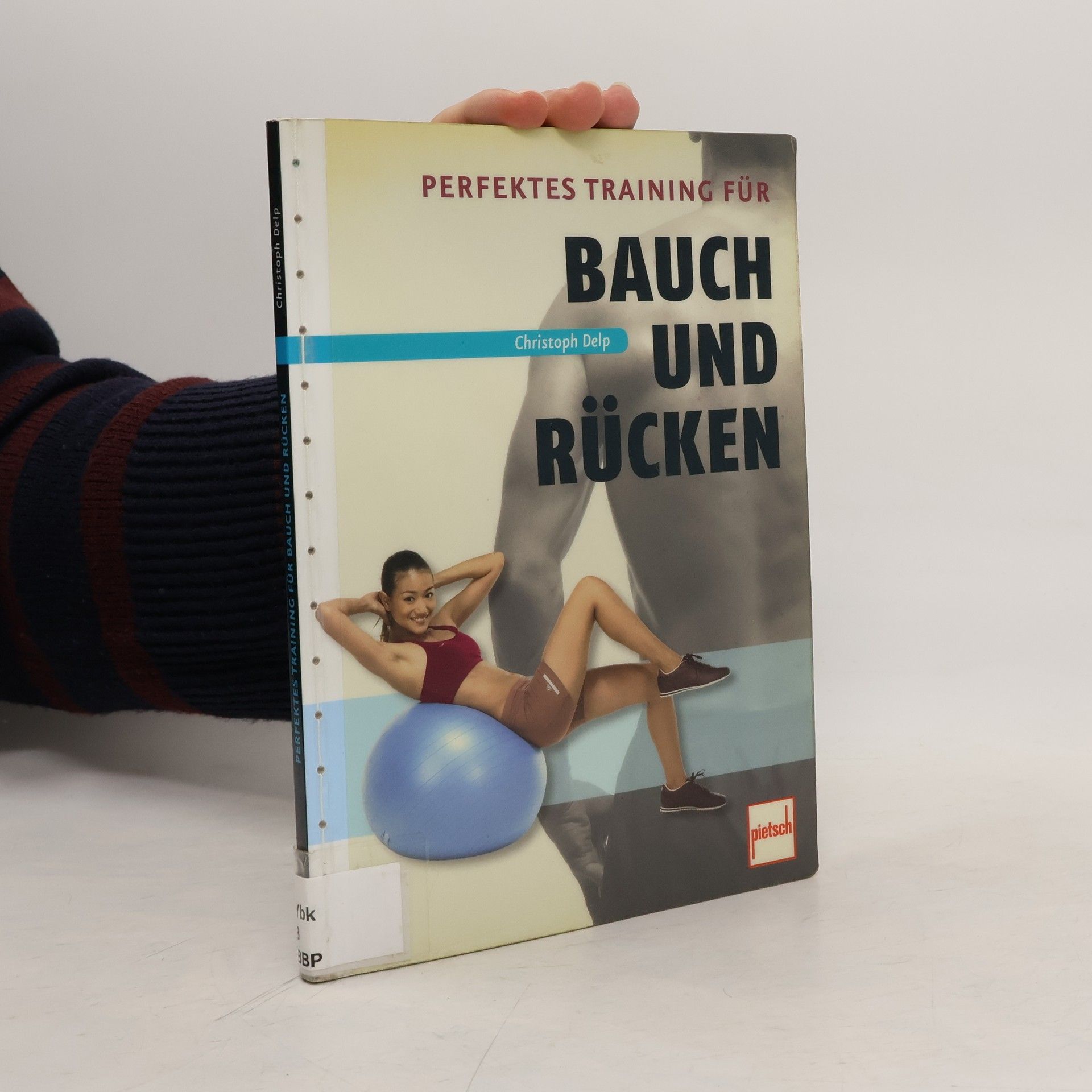 Christoph Delp Perfektes Training für Bauch und Rücken