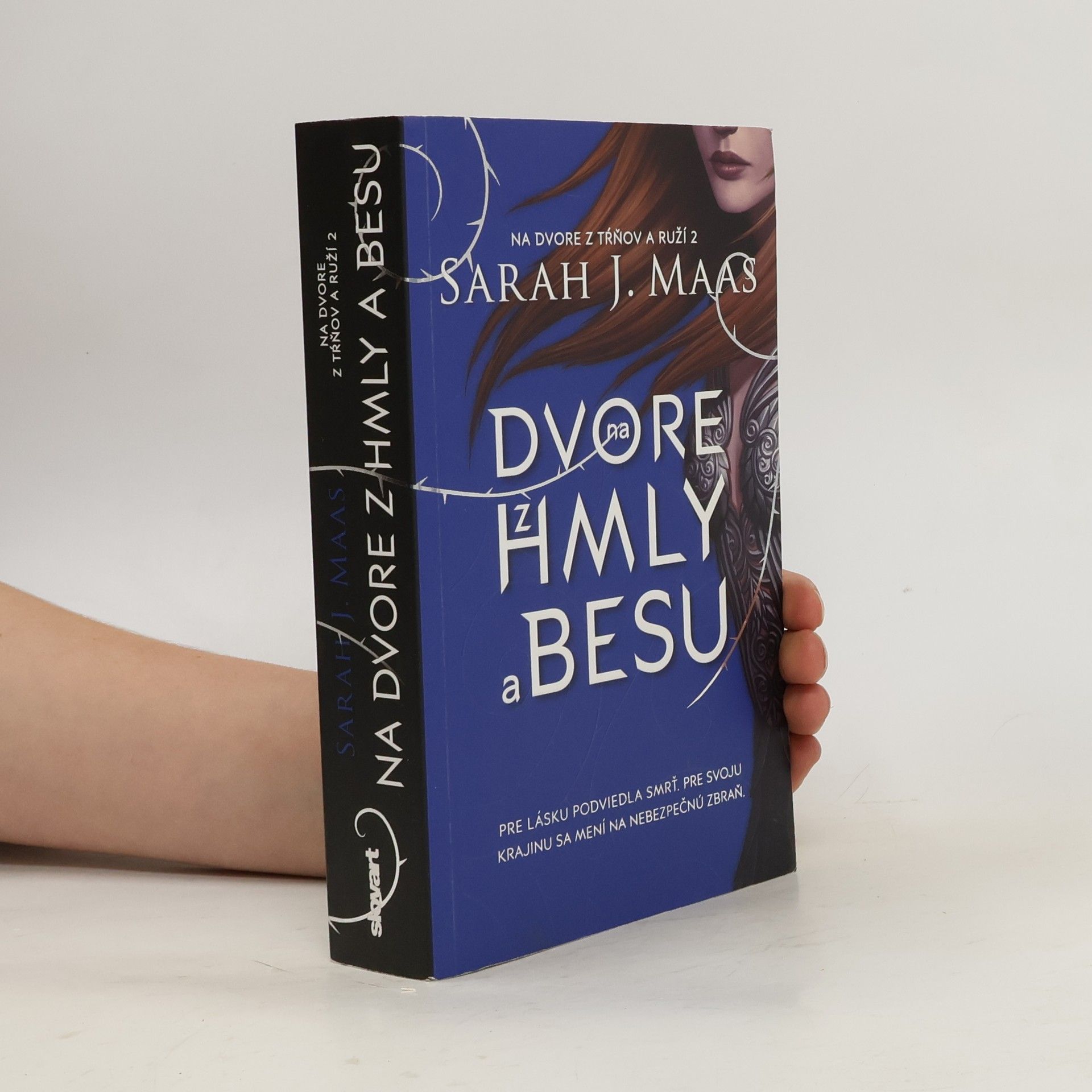 Sarah J. Maas Na dvore z hmly a besu